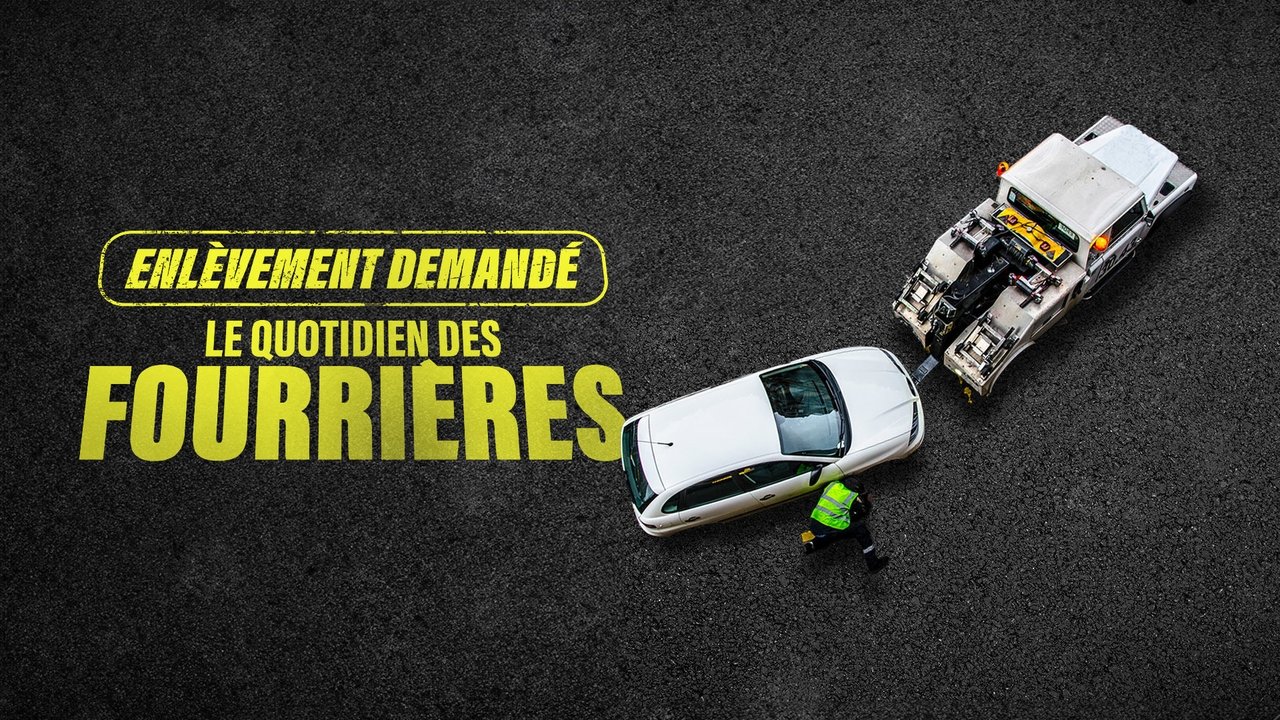Enlèvement demandé : le quotidien des fourrières