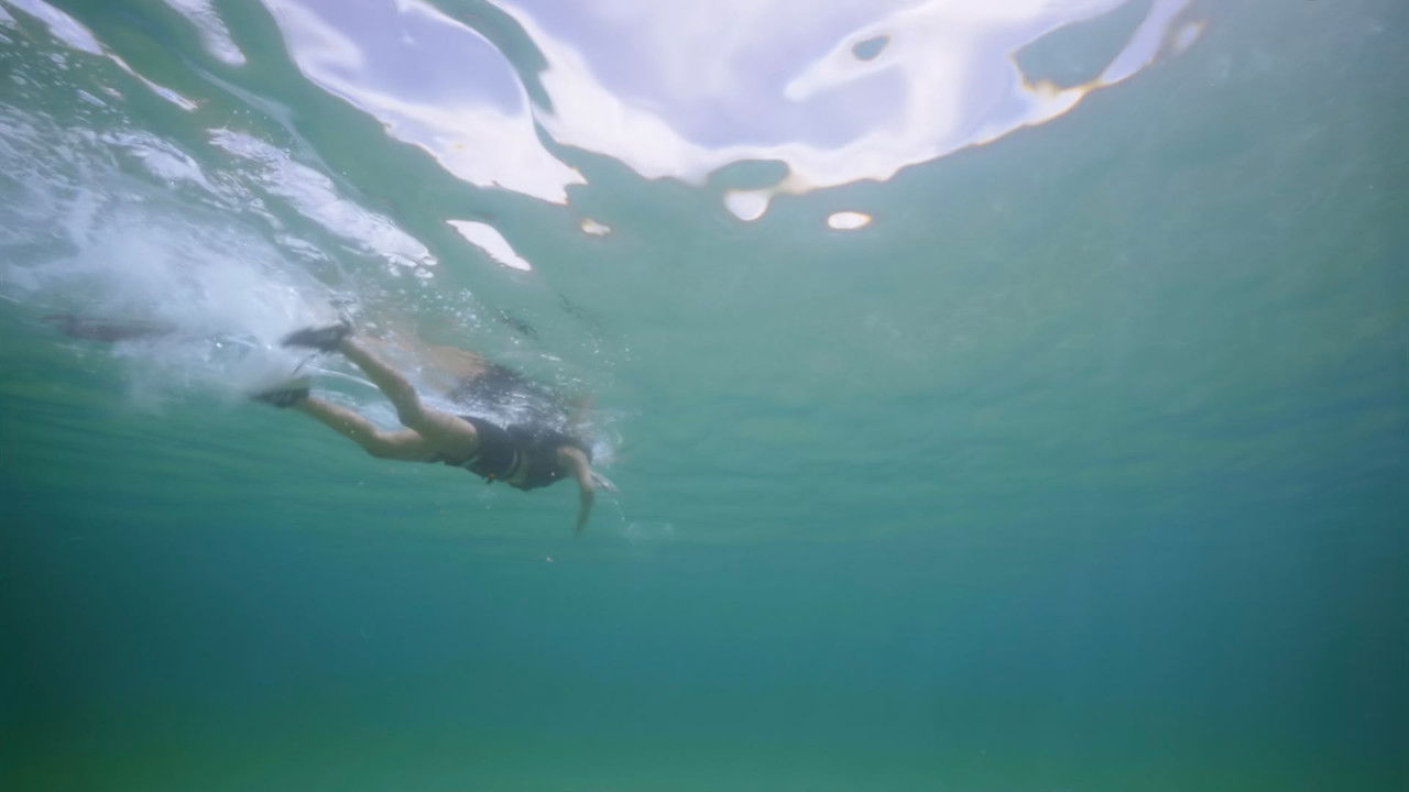 The Challenge - Season 40 Episode 18 : The End of An Era (1)