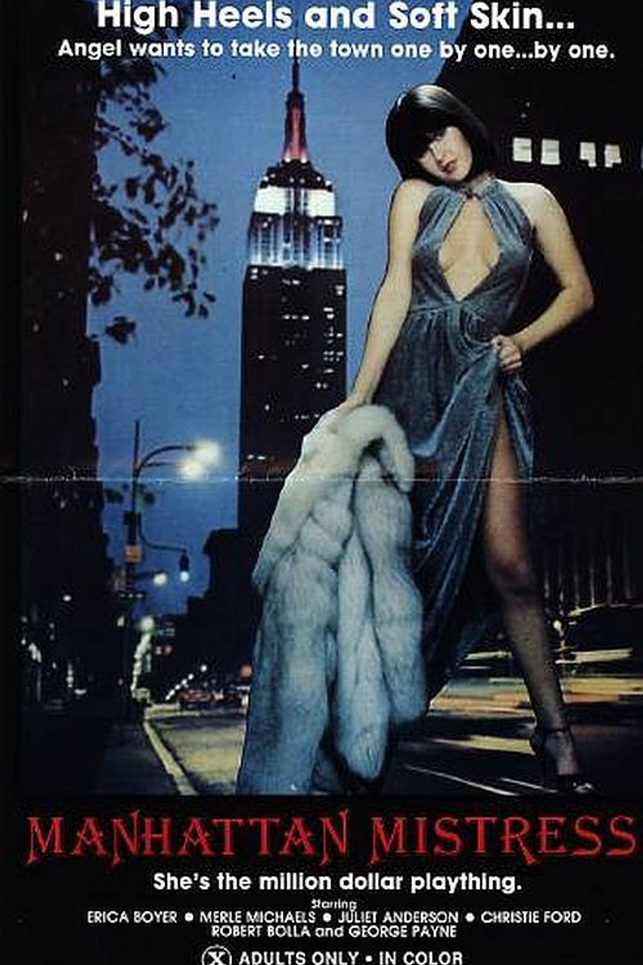 Manhattan Mistress Backdrop