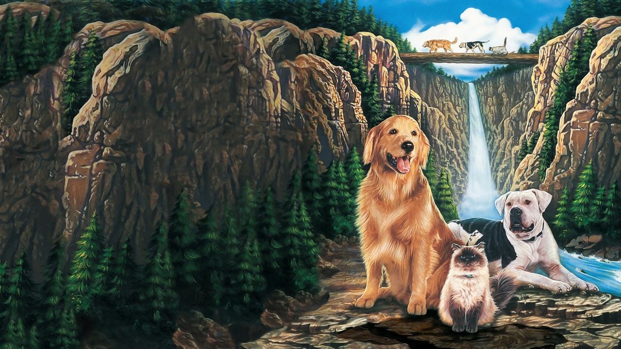 Homeward Bound: The Incredible Journey (1993)