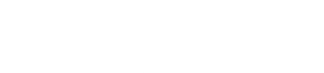 Пленённая аудитория