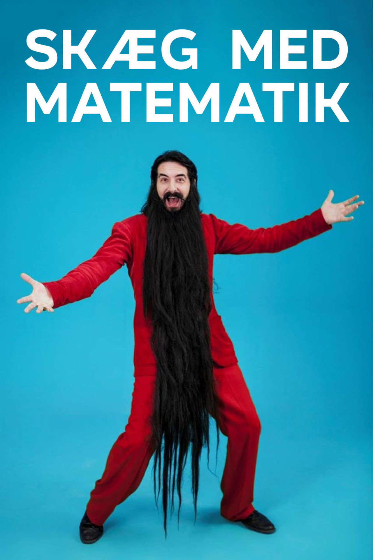 Skæg med matematik affisch
