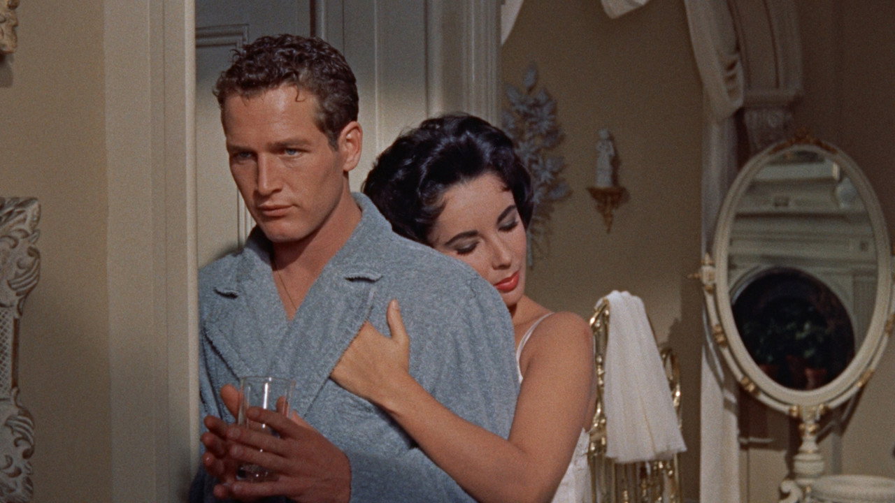 Cat on a Hot Tin Roof background 34