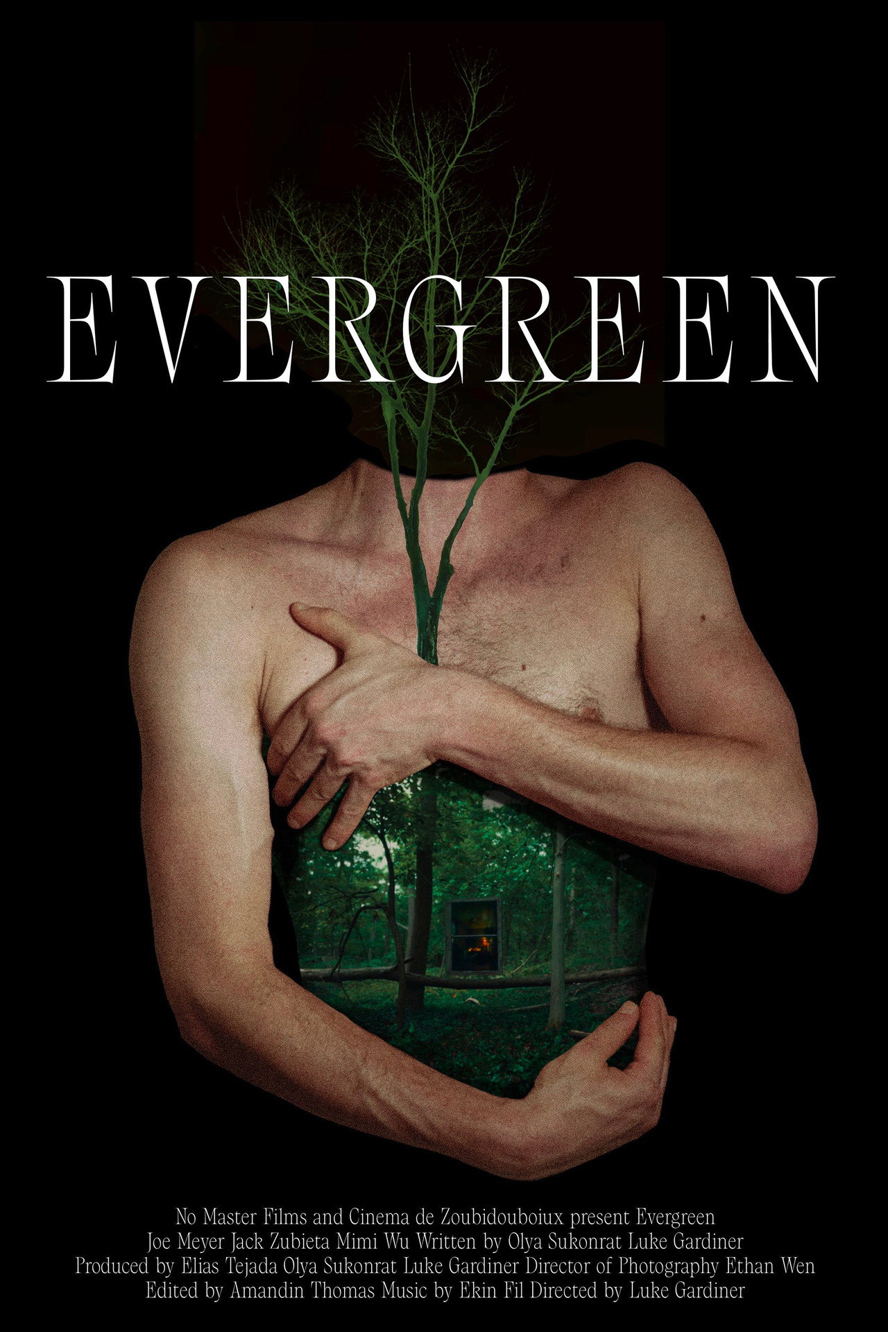 Evergreen