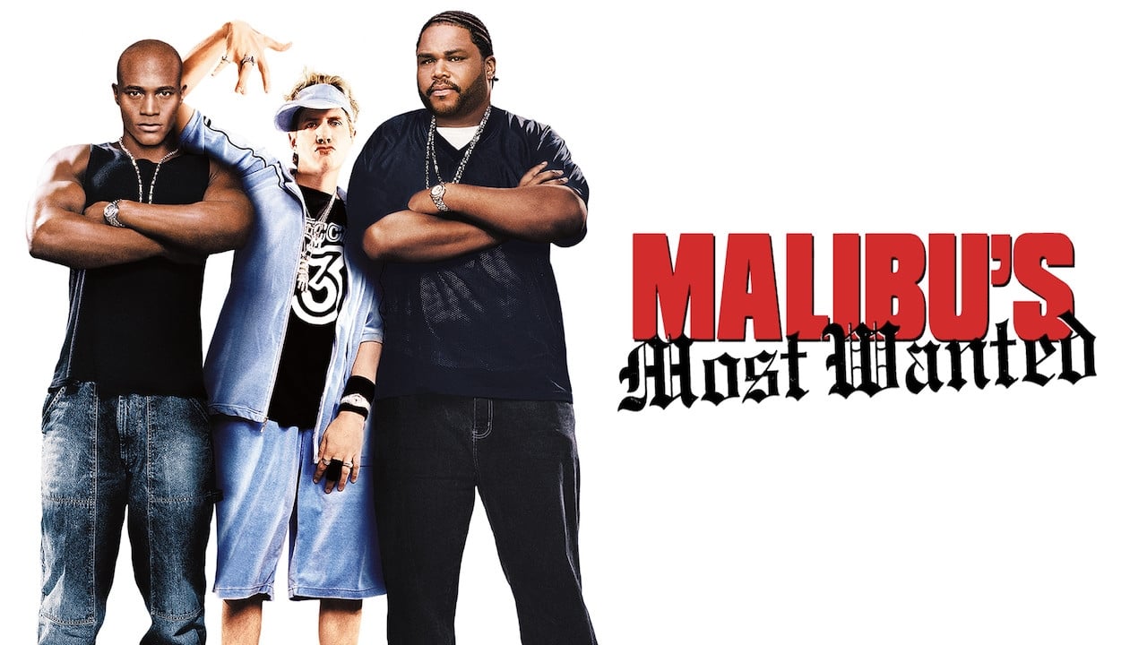 Malibu's Most Wanted background