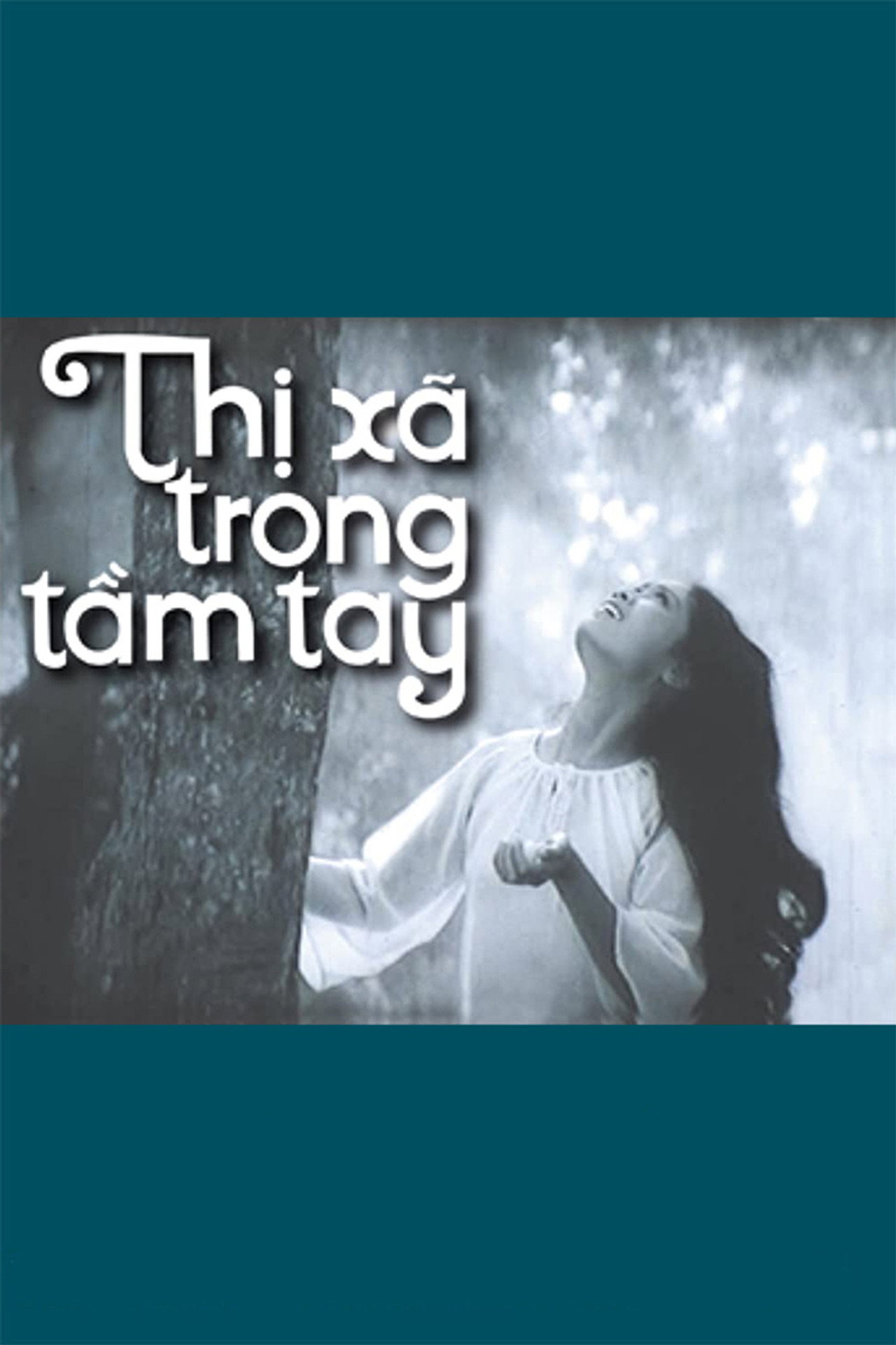 Thị xã trong tầm tay filmaffisch