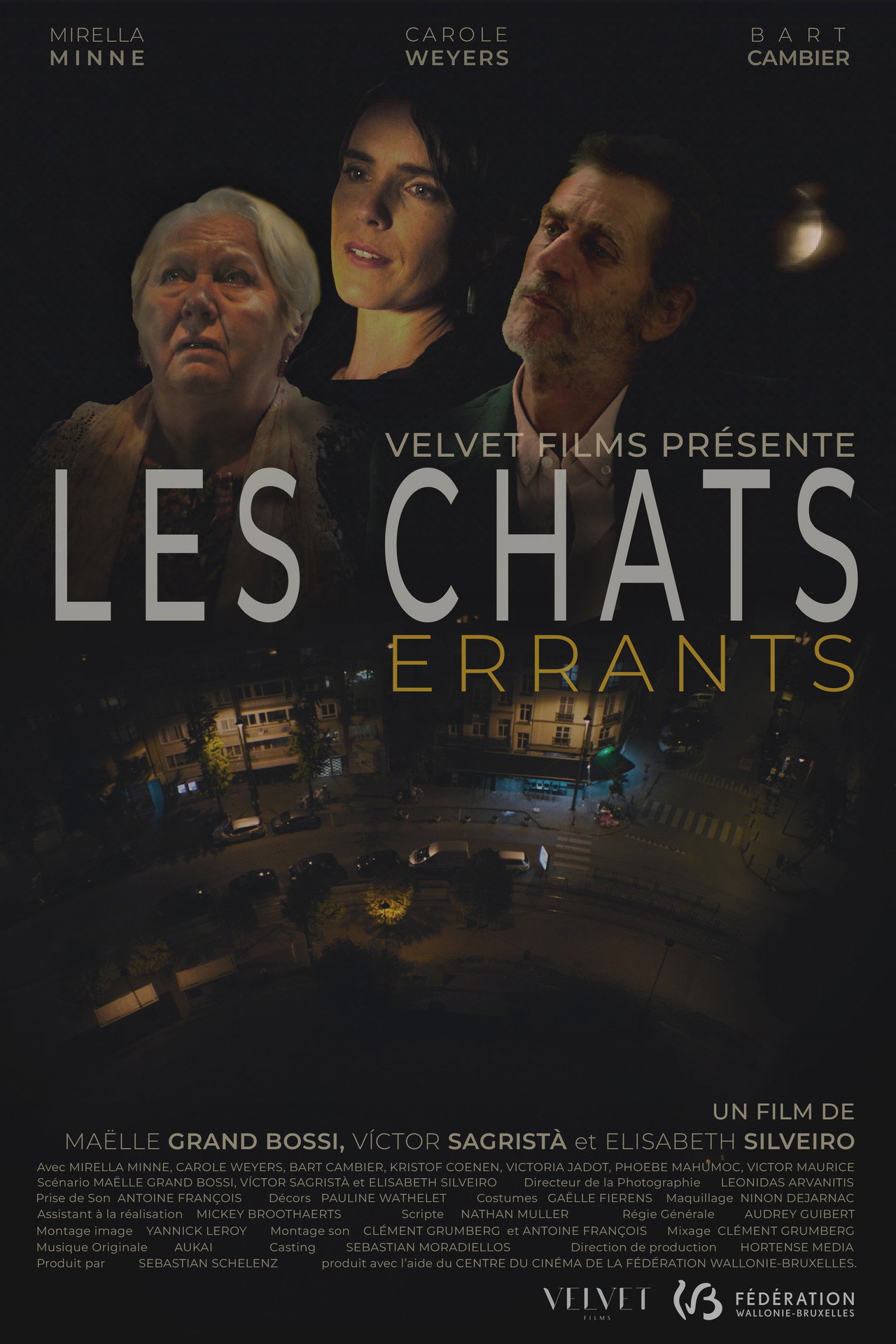 Les chats errants filmaffisch