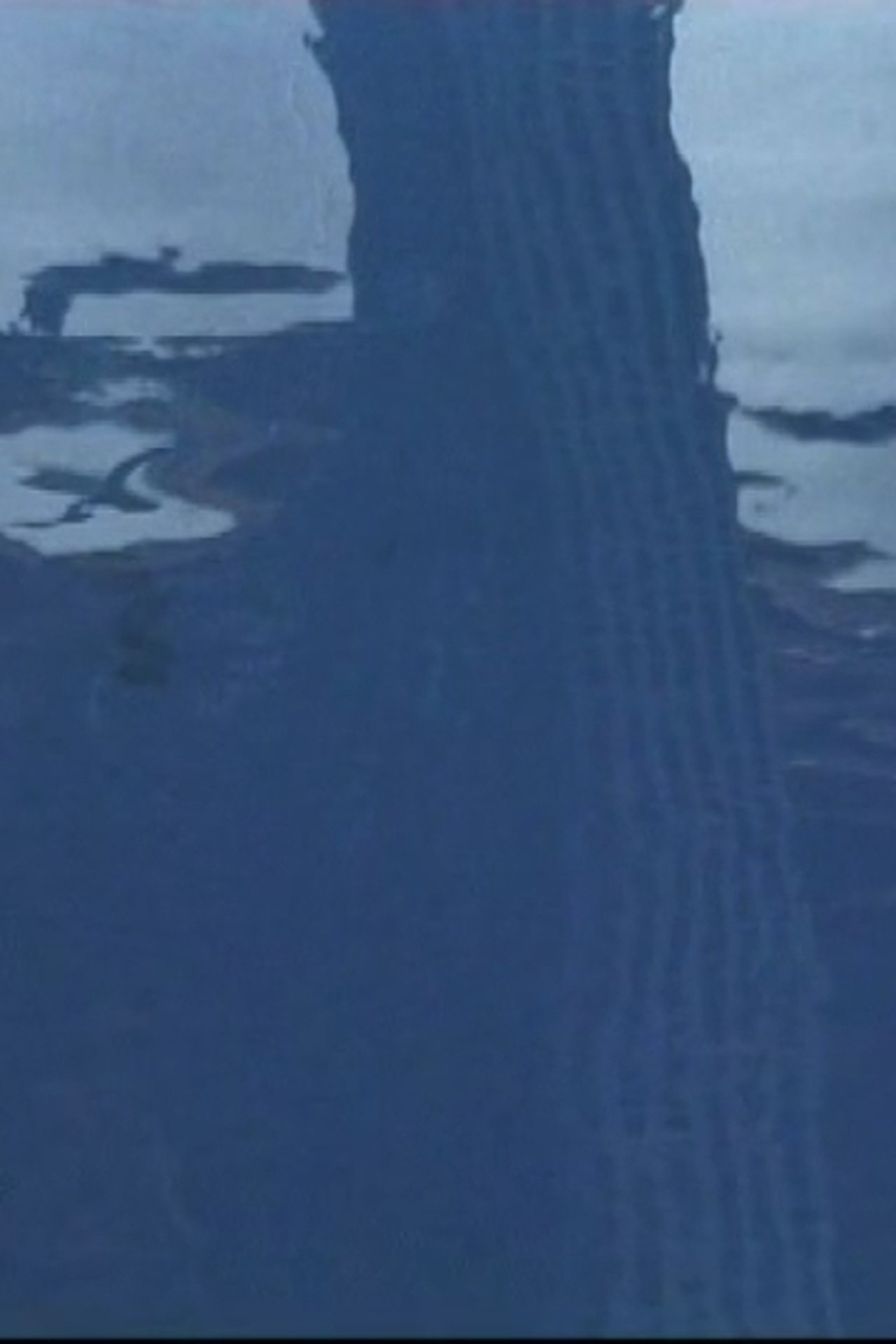 مشاهدة فيلم Le Cri مترجم بدون اعلانات - بوستر