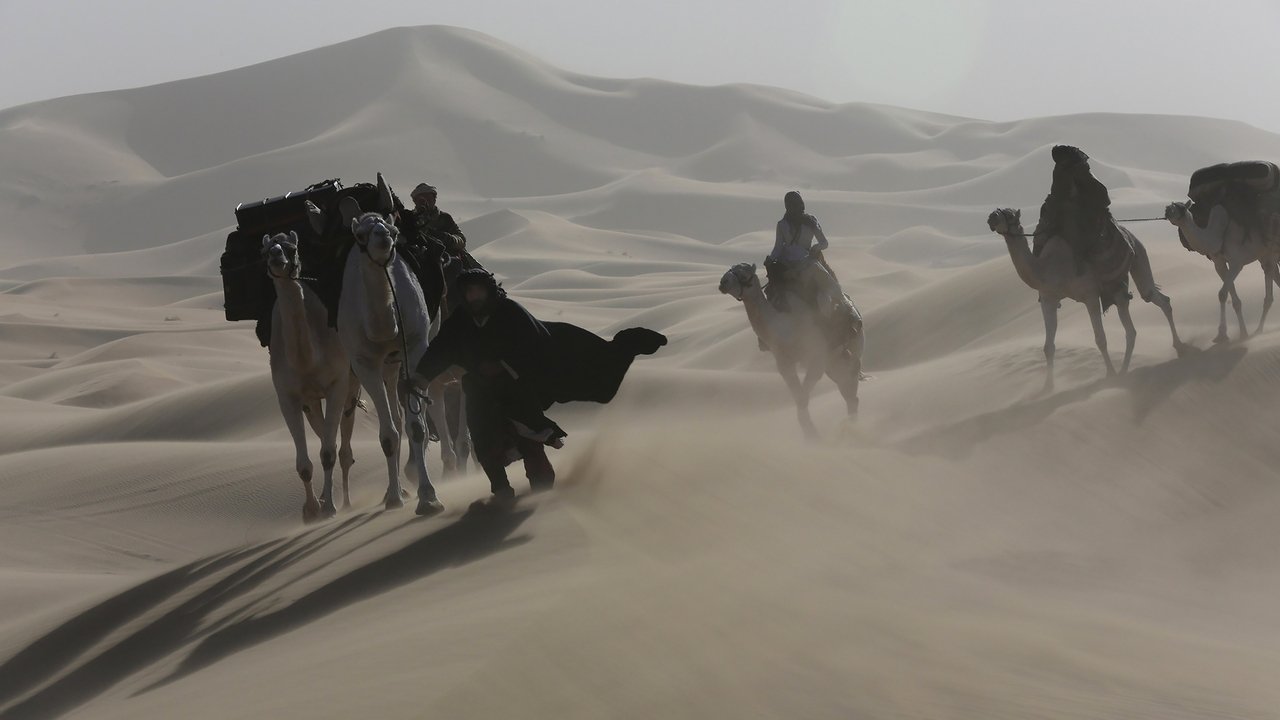 Queen of the Desert (2015)