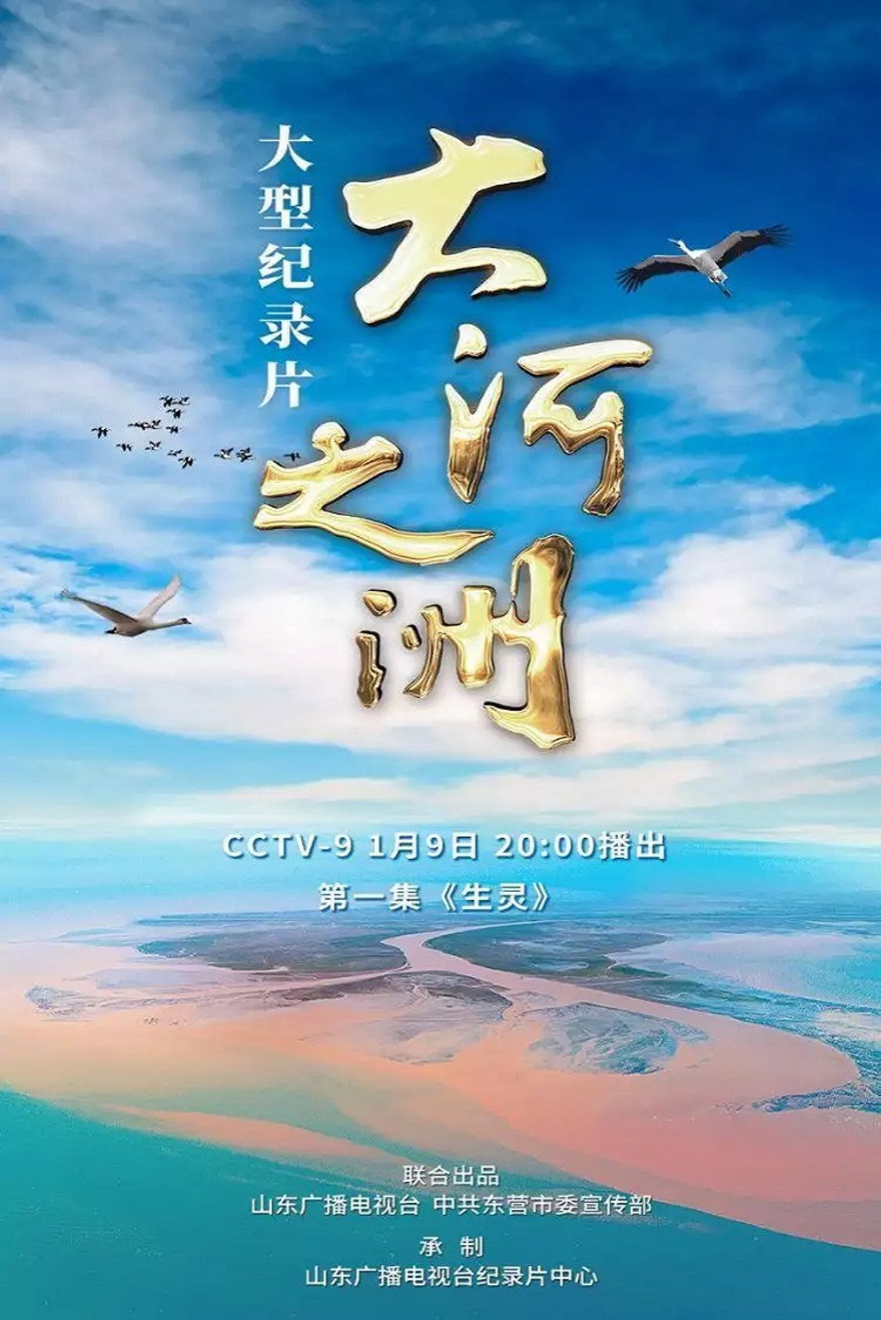 大河之洲 poster