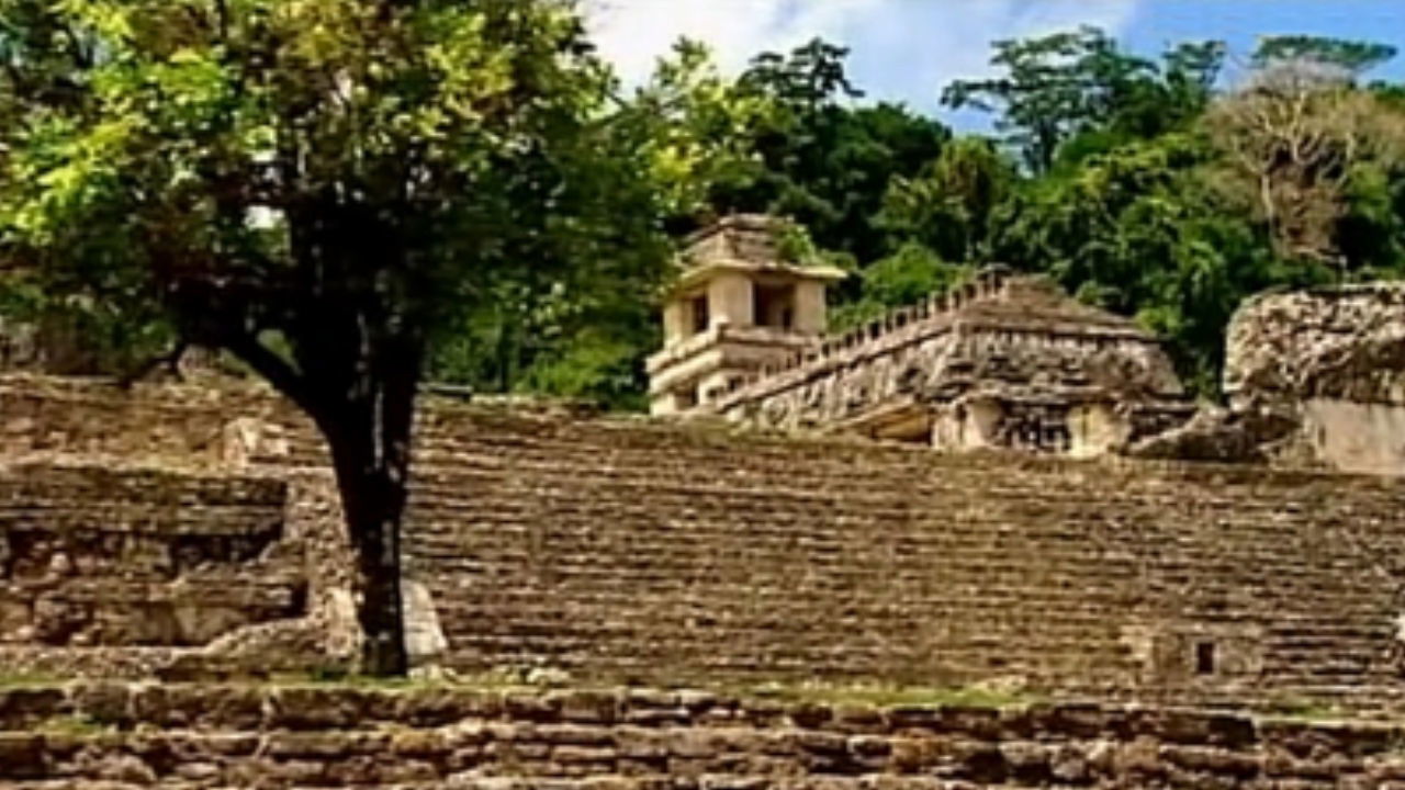Palenque: Metropolis of the Maya