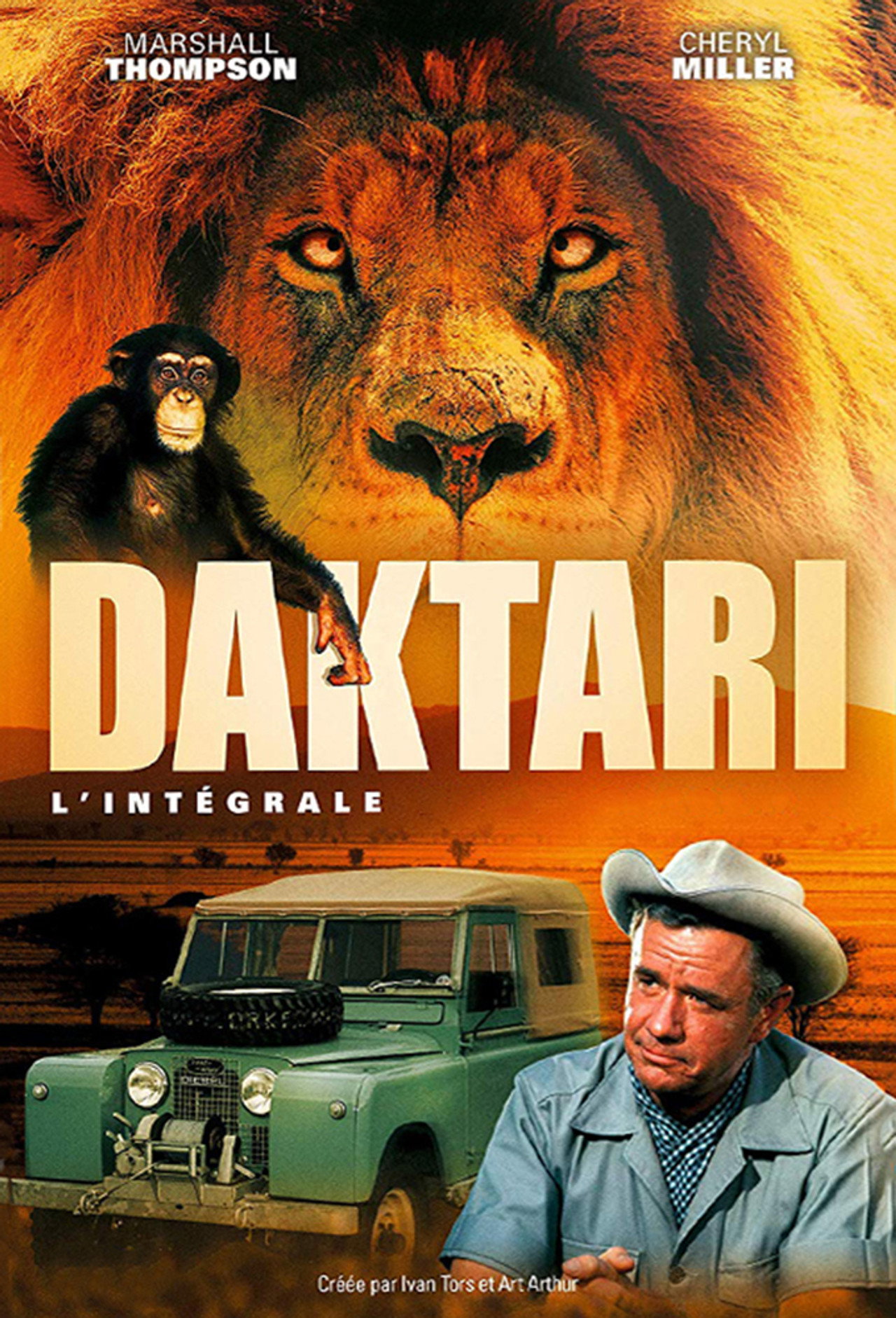 Daktari poster