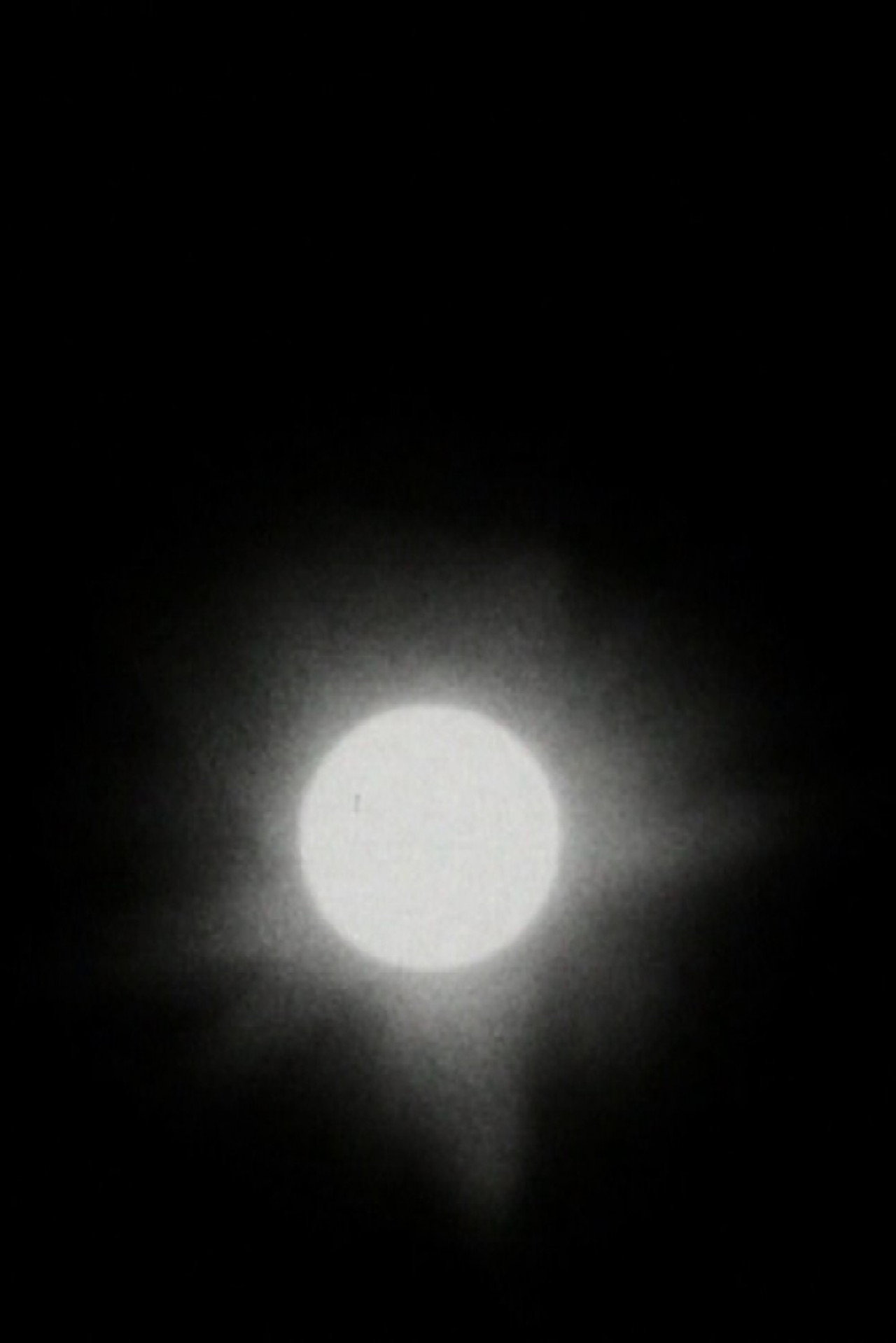 The Transit of Venus filmaffisch