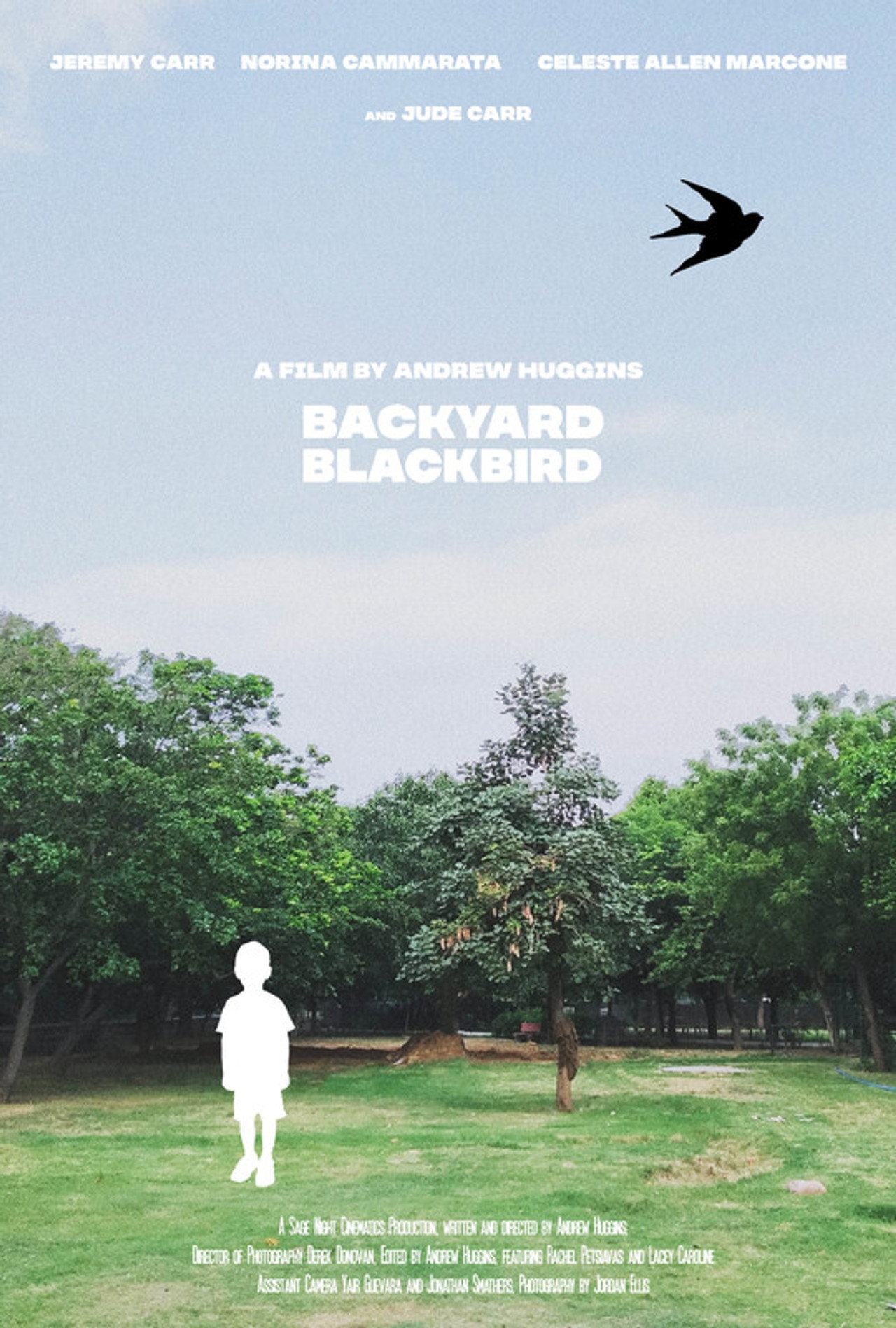 Backyard Blackbird filmaffisch
