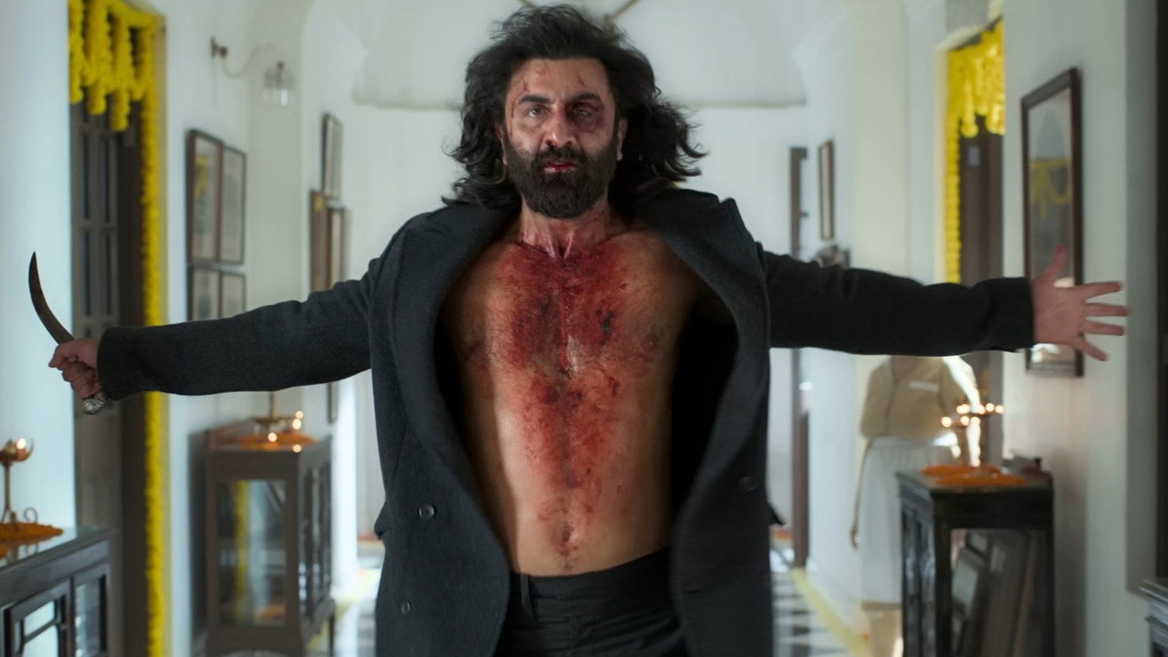 Animal (2023) Hindi HD Netflix backdrop