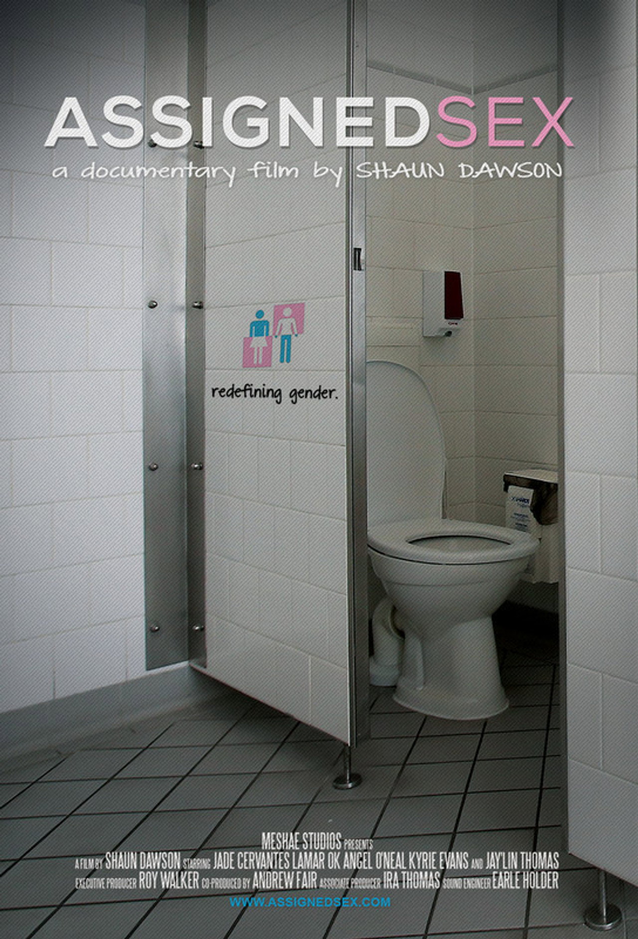 Assigned Sex filmaffisch
