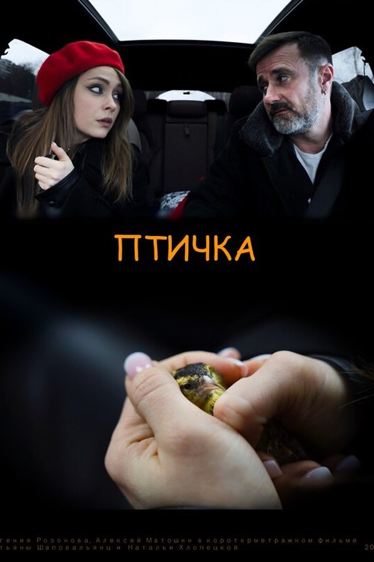 Птичка Птичка