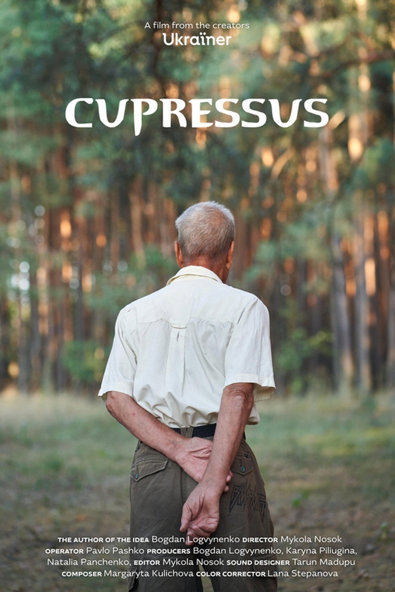 Cupressus