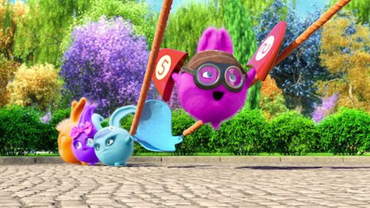 Sunny Bunnies — Le pilote intrépide