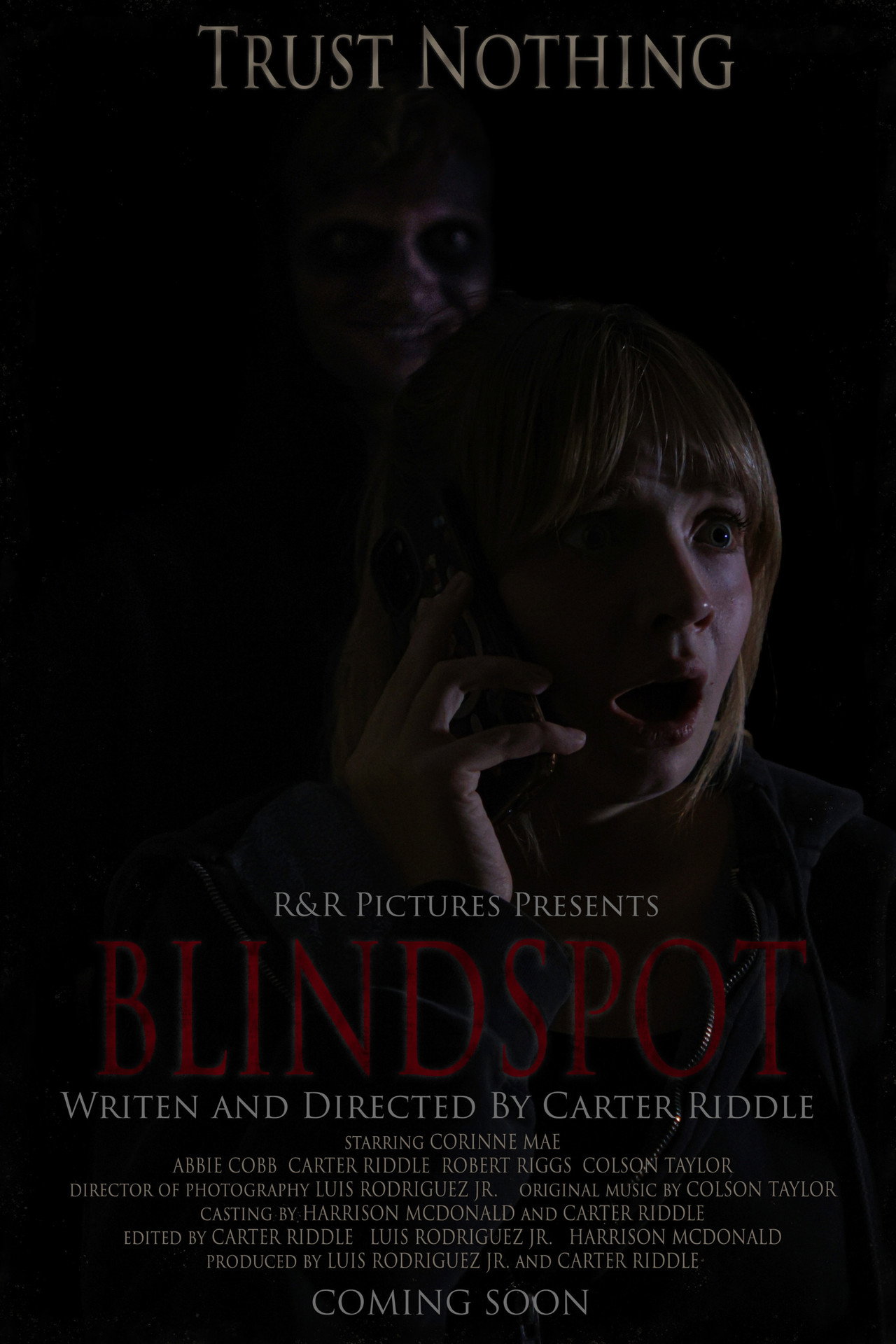 BLINDSPOT poster