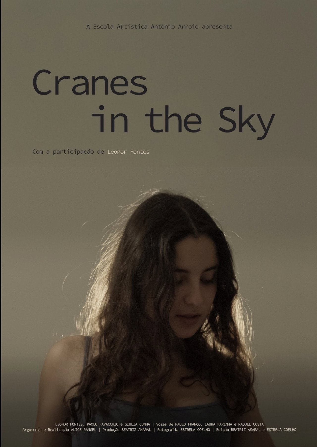 Cranes in the Sky