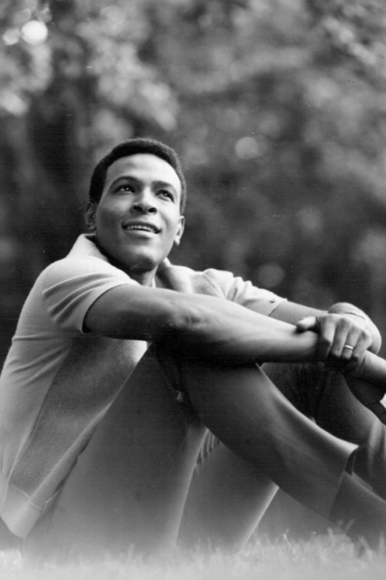 Marvin Gaye: What's Going On Backdrop