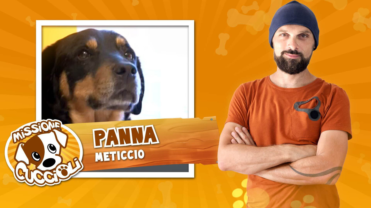 Missione cuccioli — Épisode 4