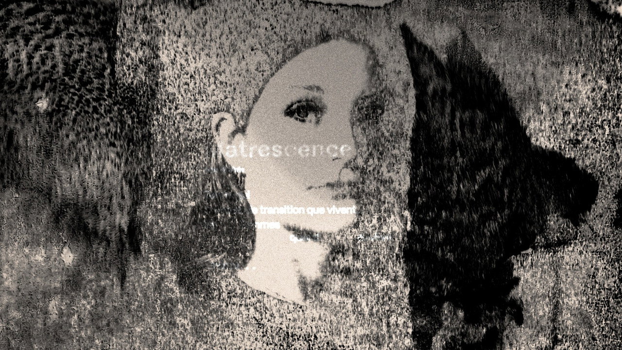 Backdrop for Matrescence