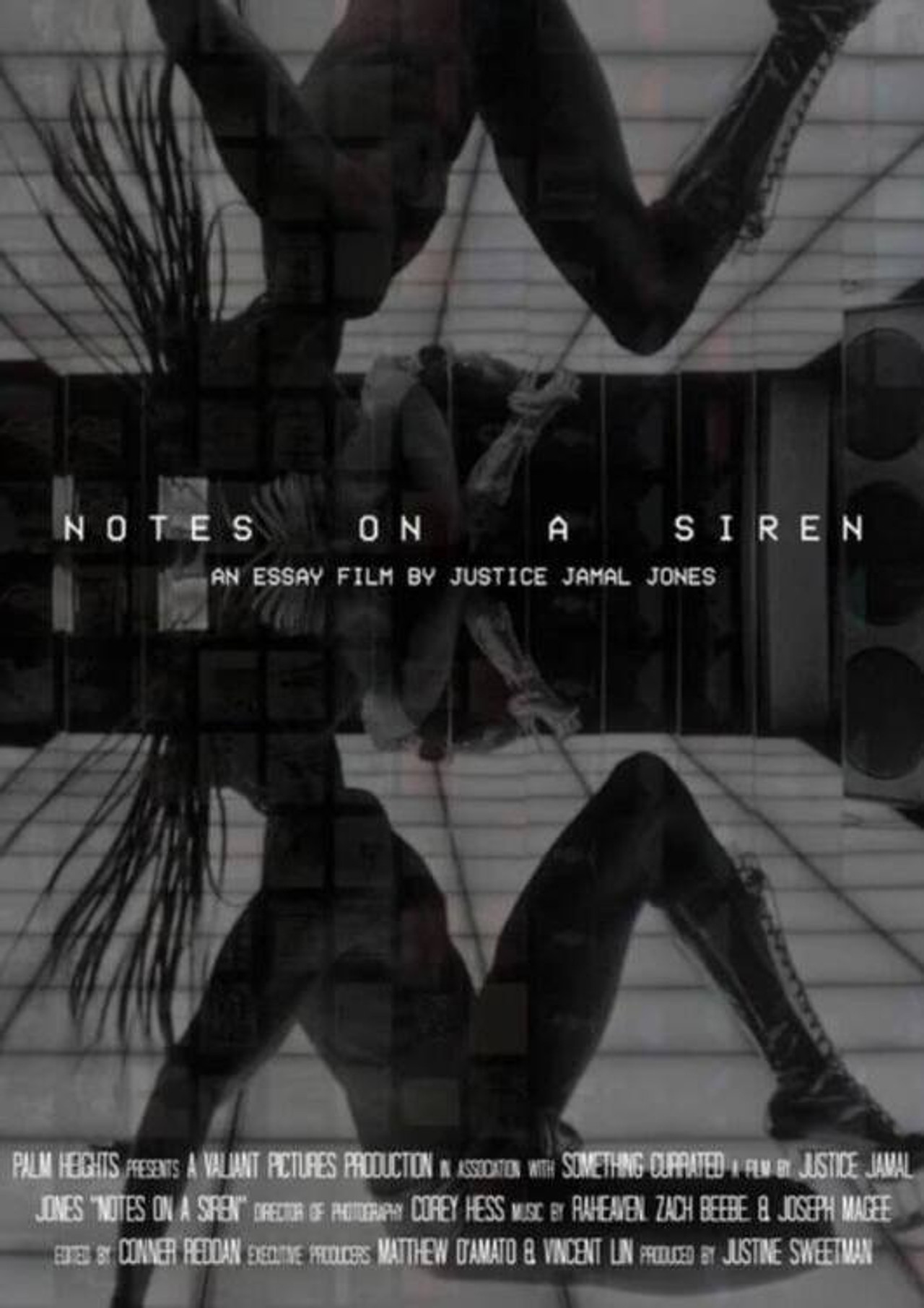 Notes On A Siren filmaffisch