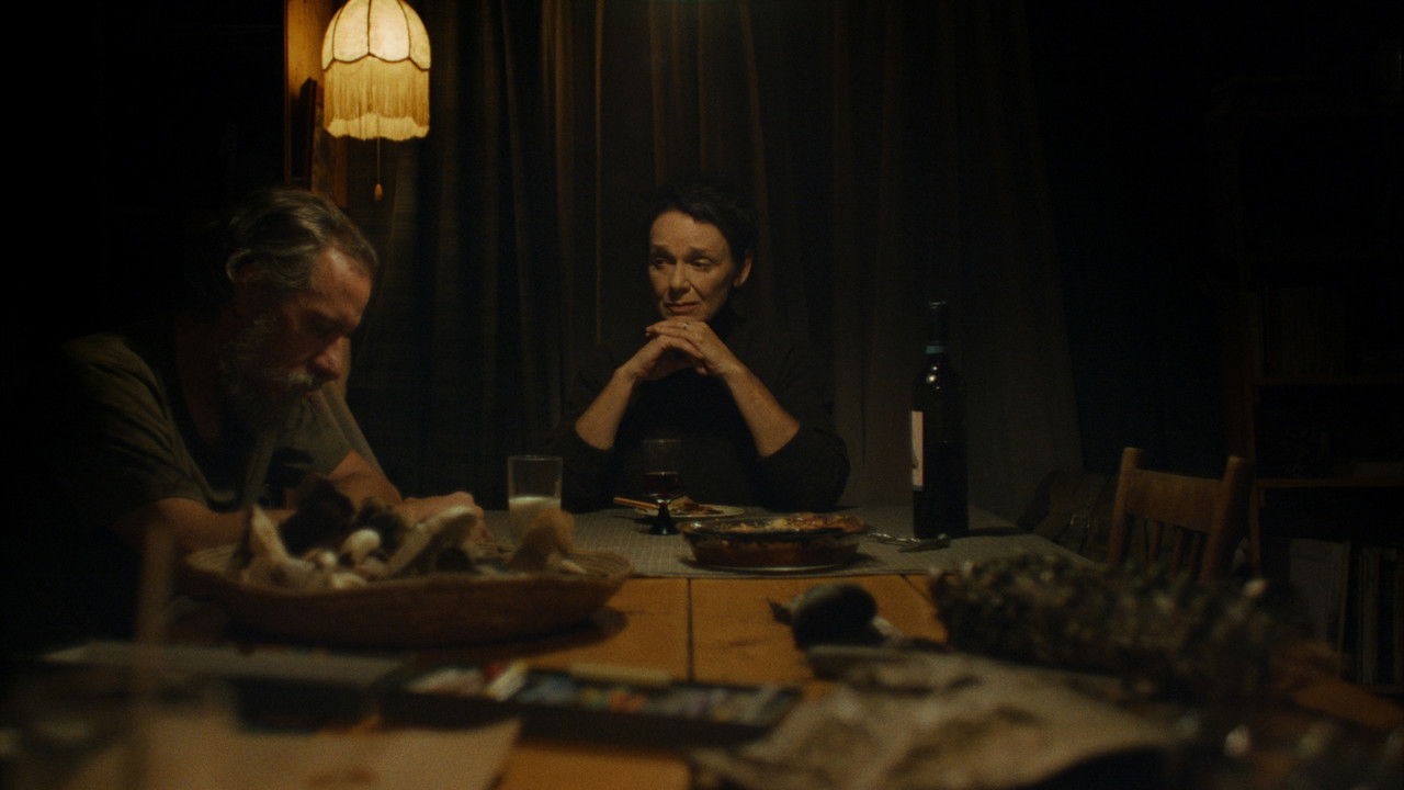 My Son Came Back to Disappear