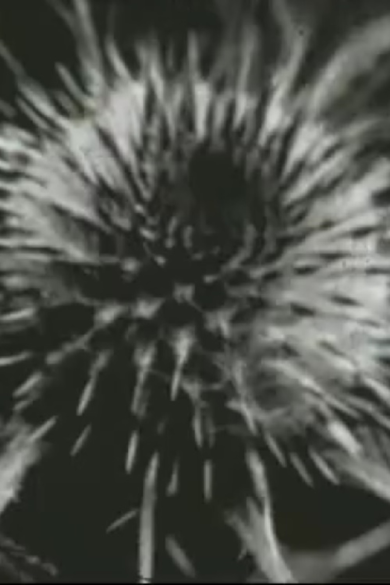 Scratch filmaffisch