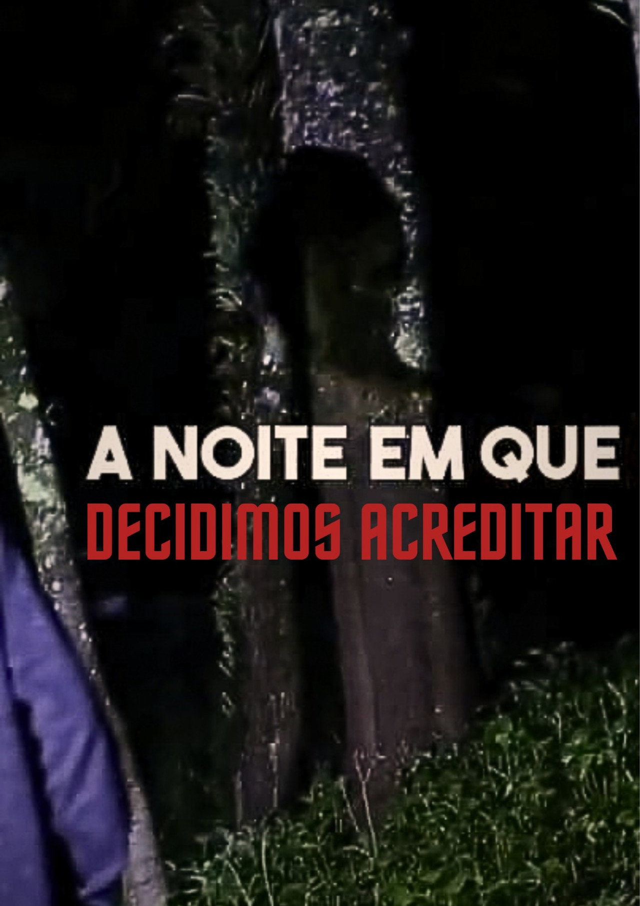 A noite em que Decidimos Acreditar filmaffisch