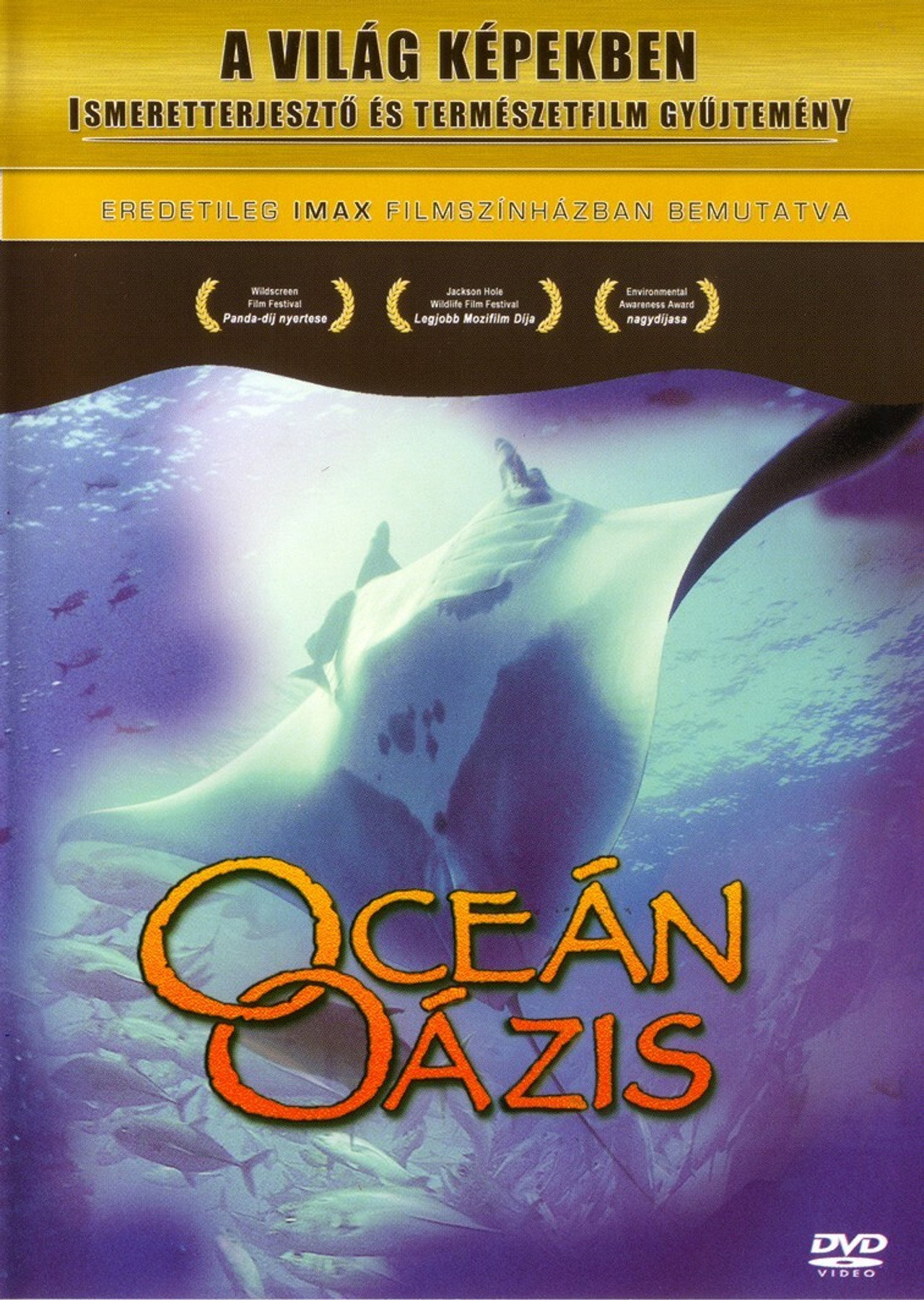 Óceán Oázis – plakát 5