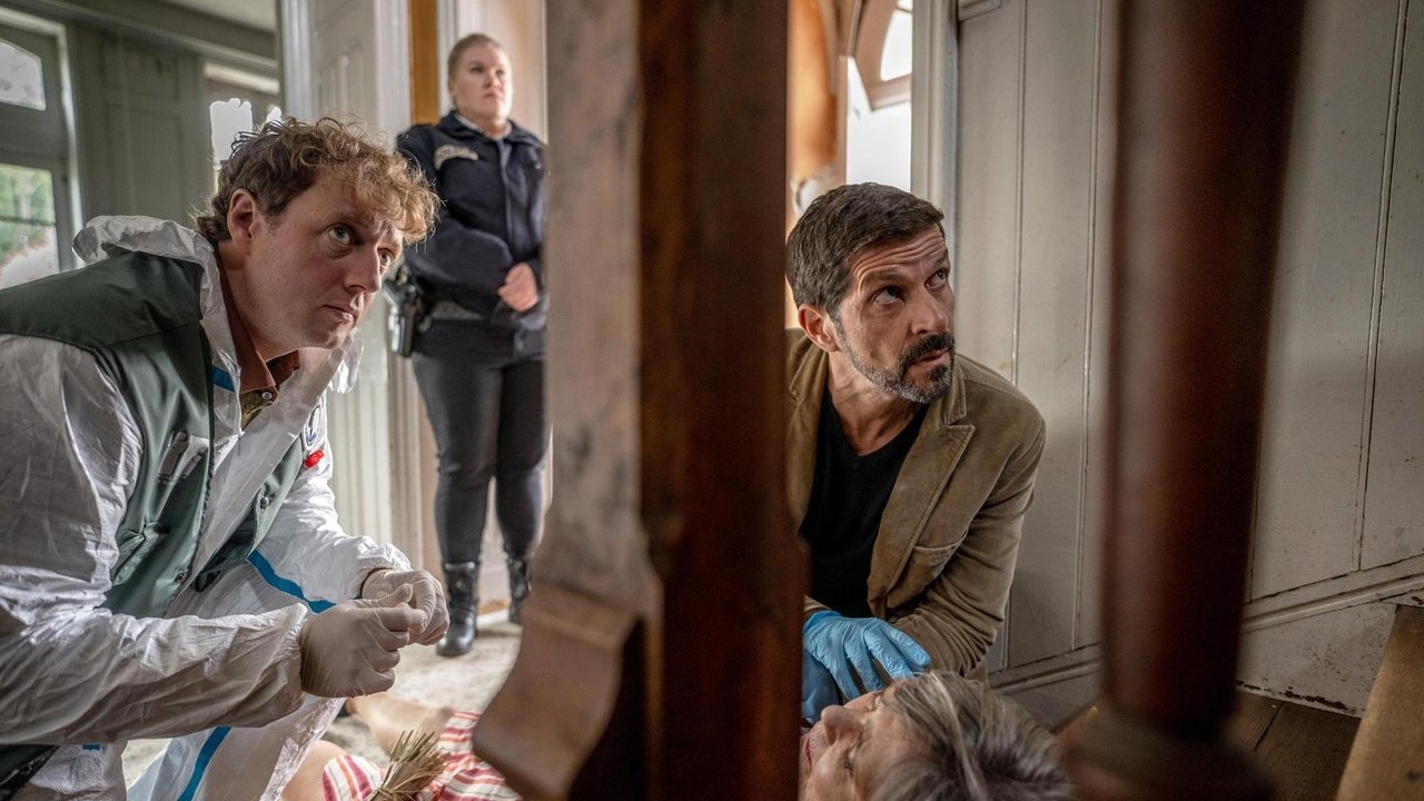 Inspector Dupin: Brittany's Nights backdrop