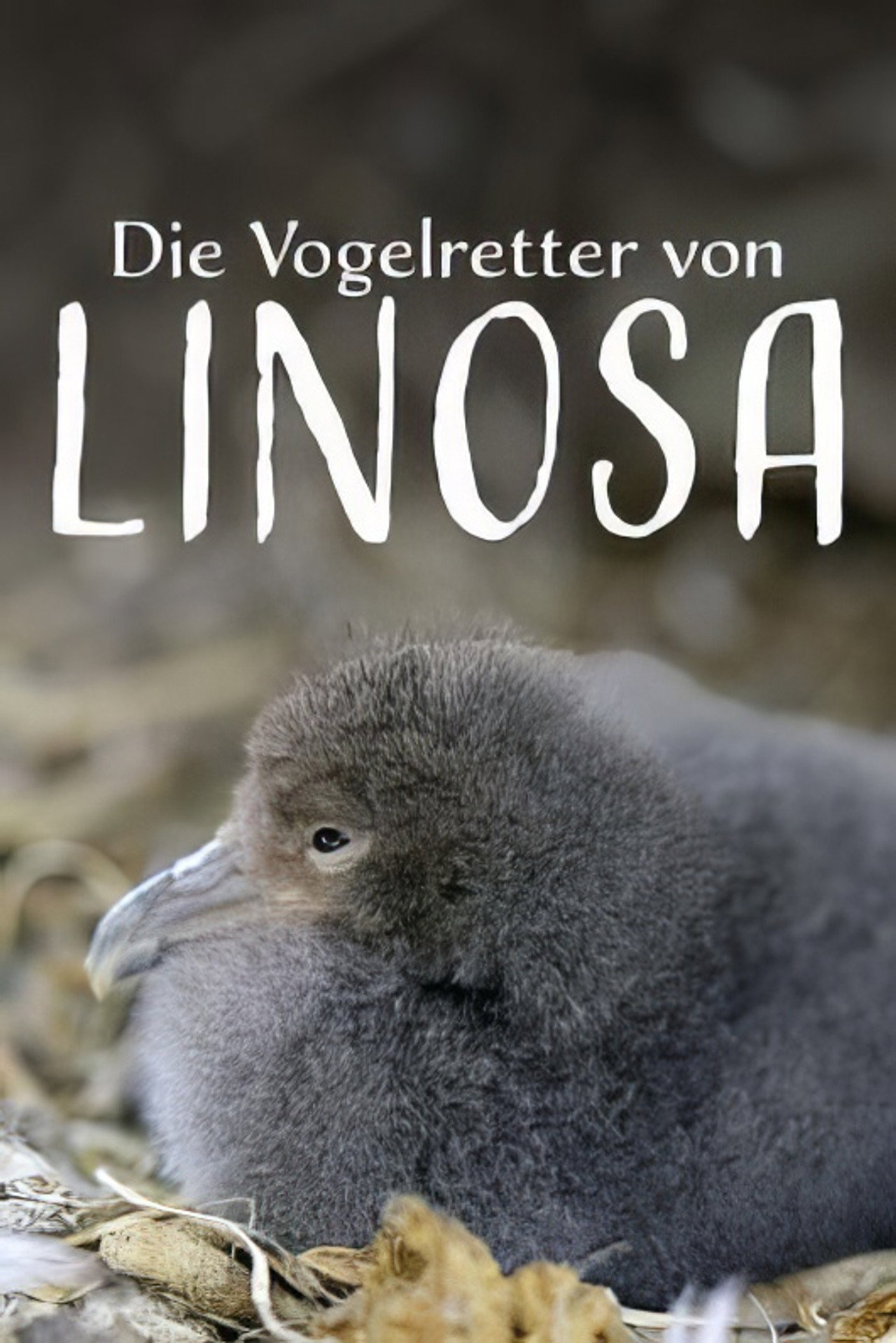 Die Vogelretter von Linosa filmaffisch