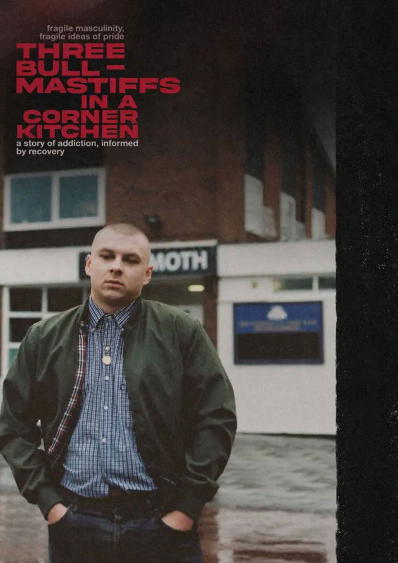 Three Bull-Mastiffs in a Corner Kitchen Backdrop
