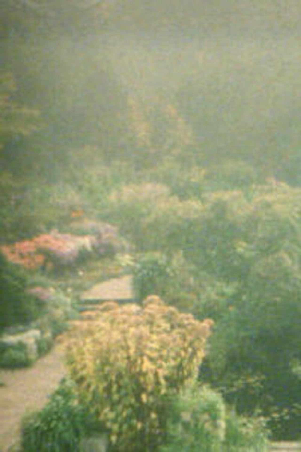 Im Garten filmaffisch