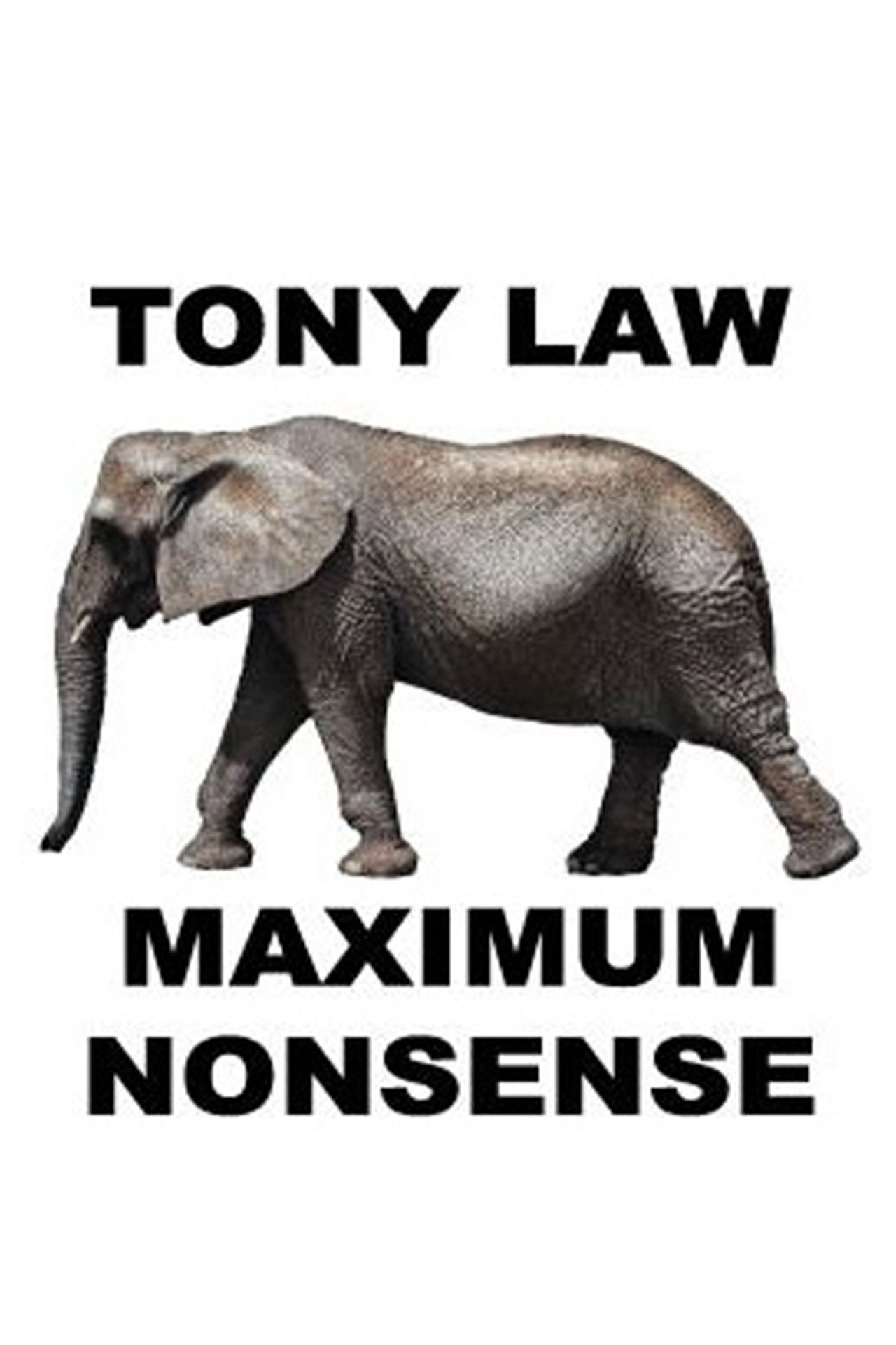 Tony Law: Maximum Nonsense Backdrop