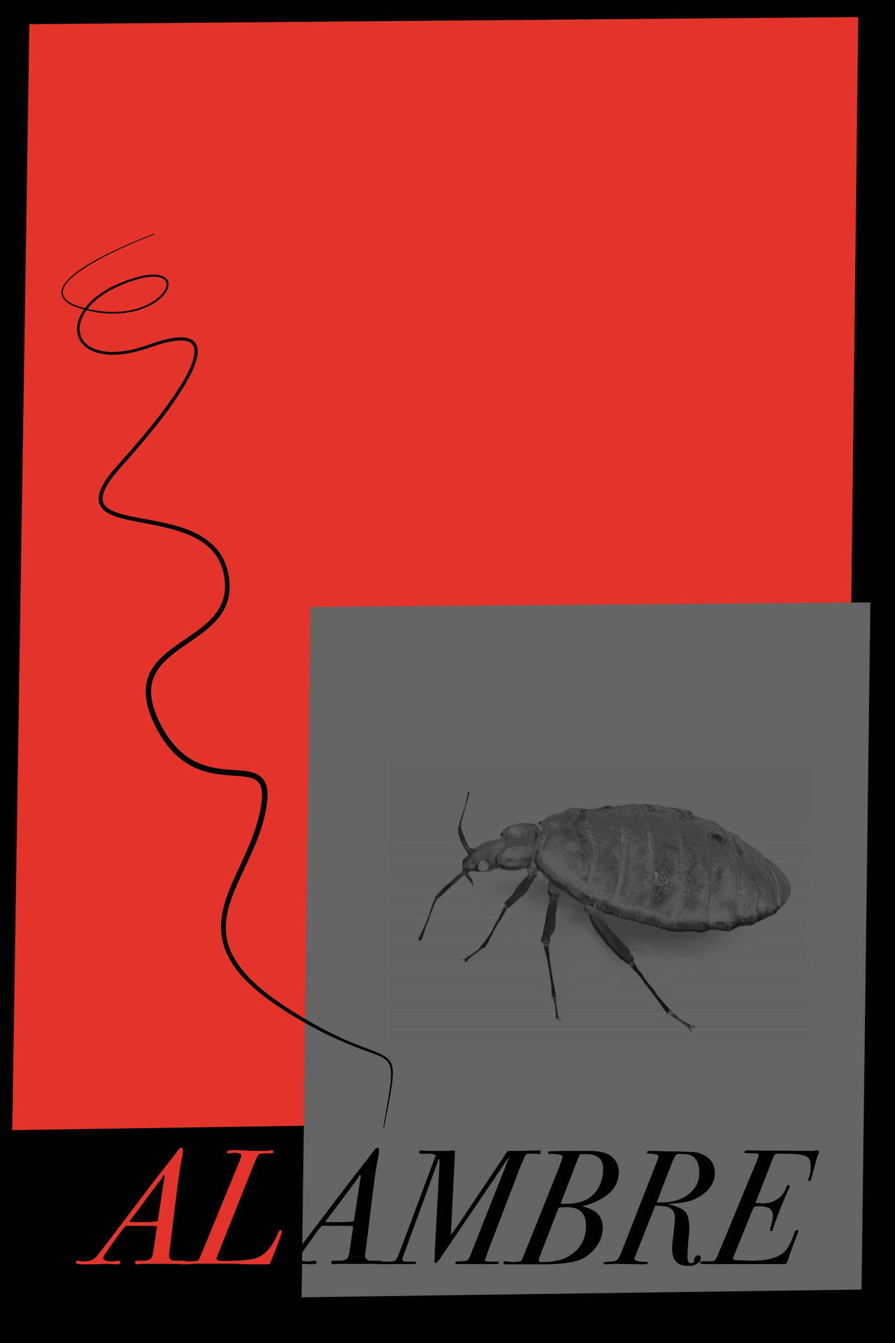 ALAMBRE