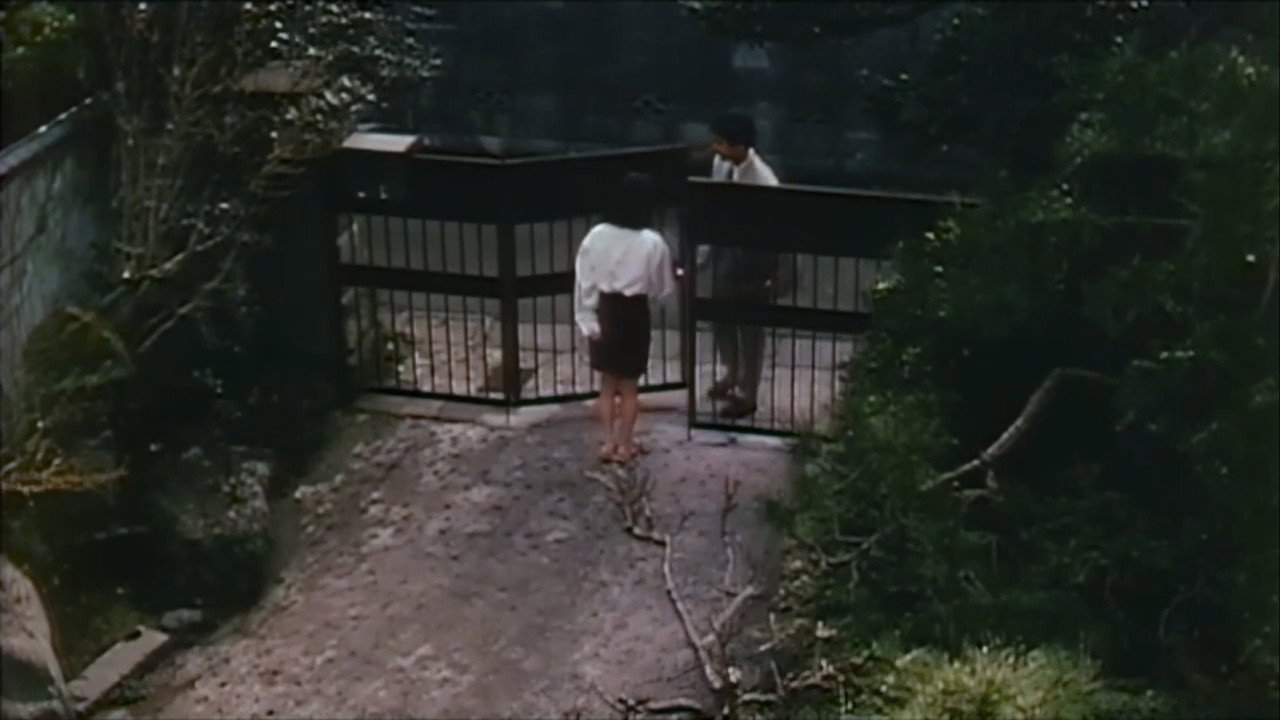 Gômon mizu-zeme still 4