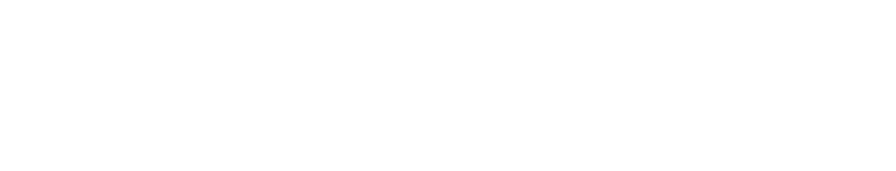 The Tan Ean Kiam Foundation-SGIFF Southeast Asian-Documentary
