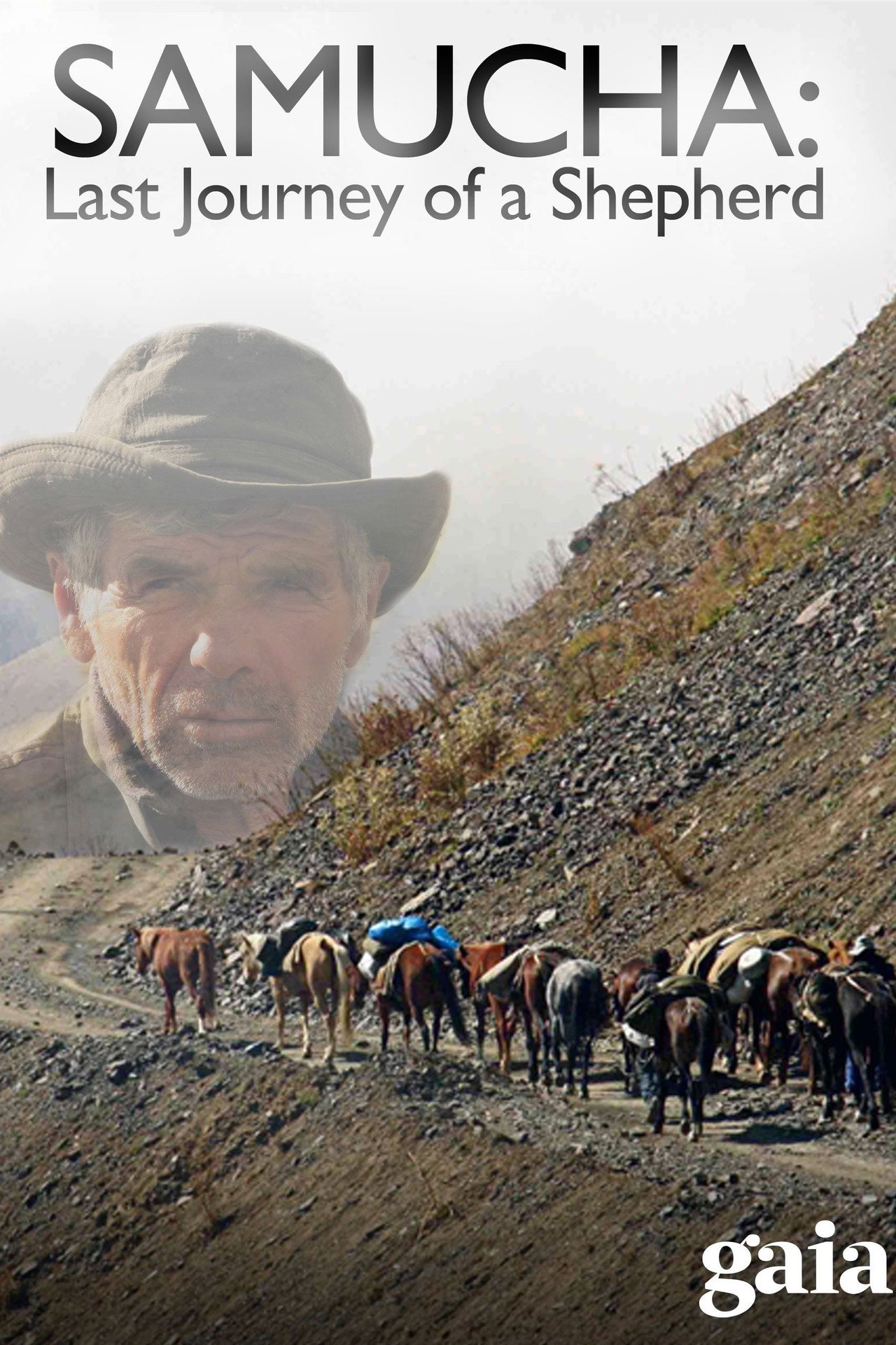 Samucha, un dernier été dans le Caucase filmaffisch