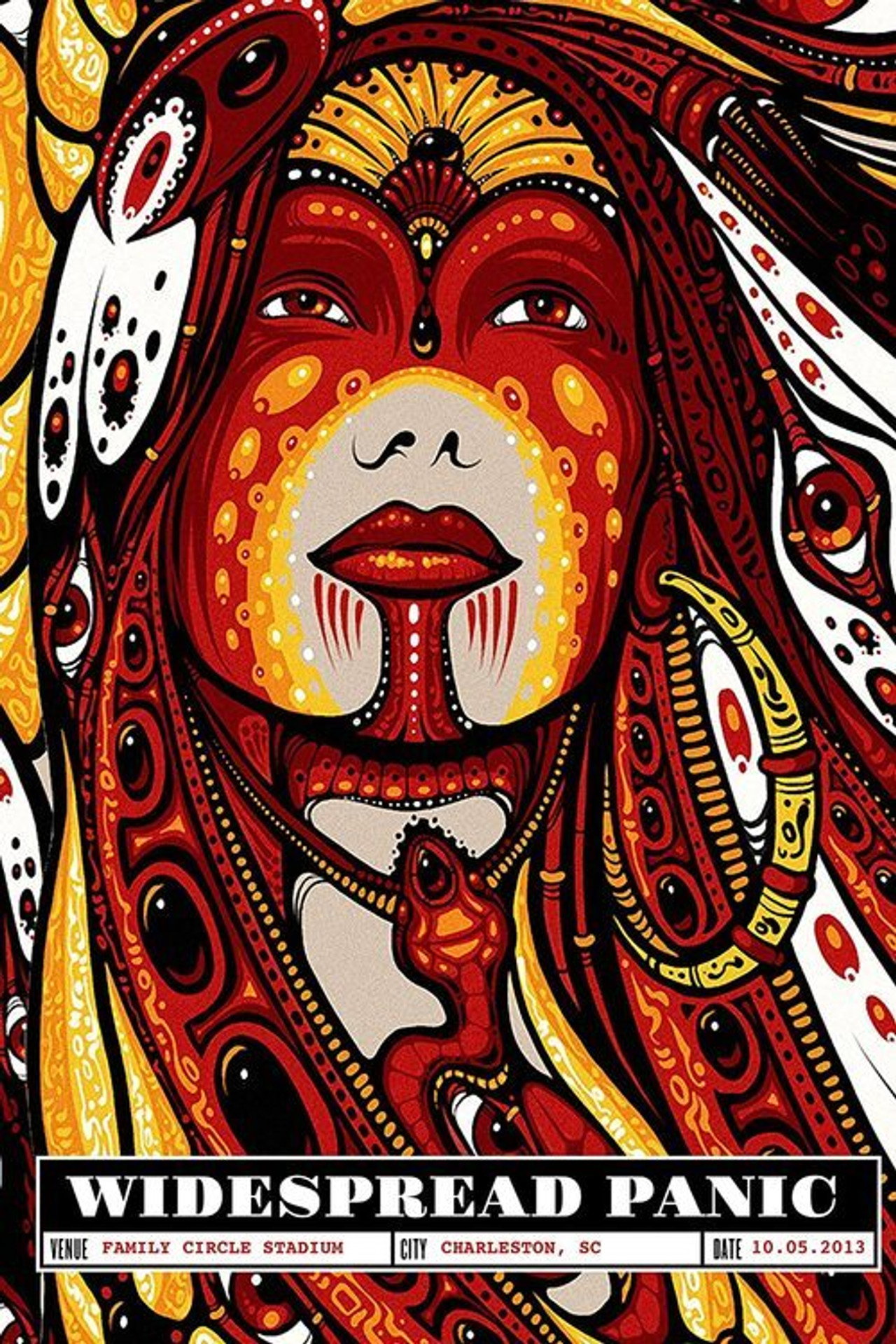 Widespread Panic: Live at Family Circle Stadium Charleston Backdrop