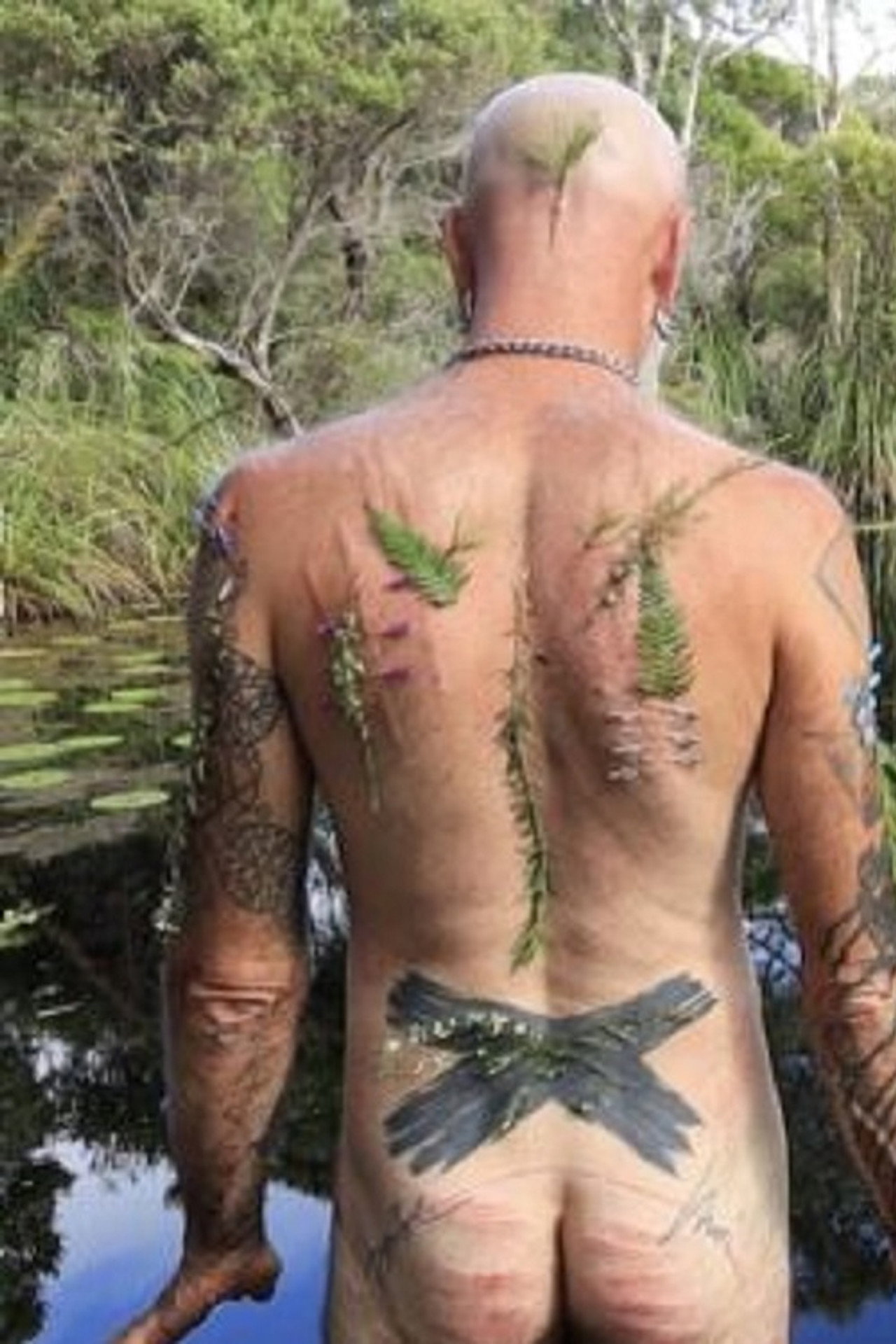 Phytophilia