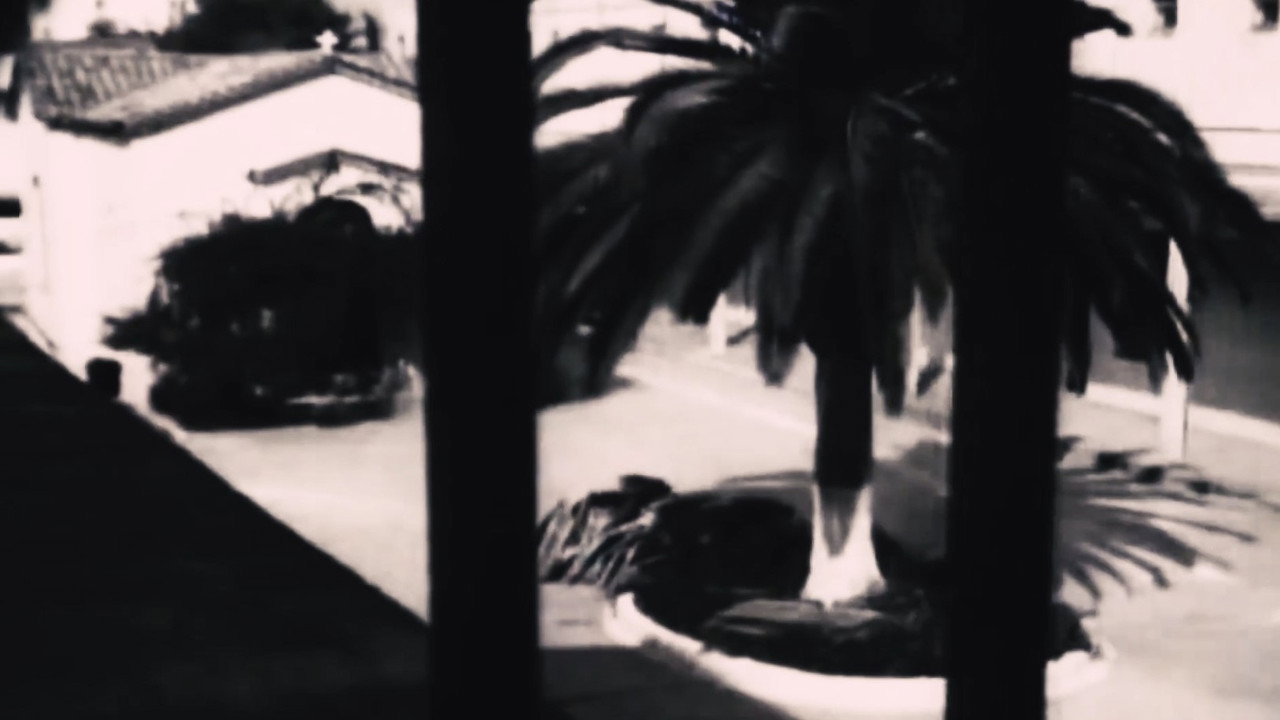 Fondo
