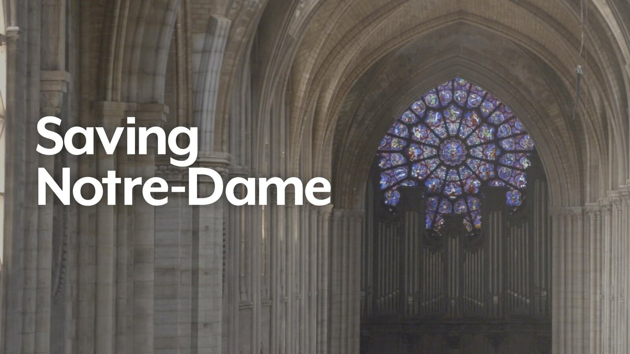Saving Notre Dame background