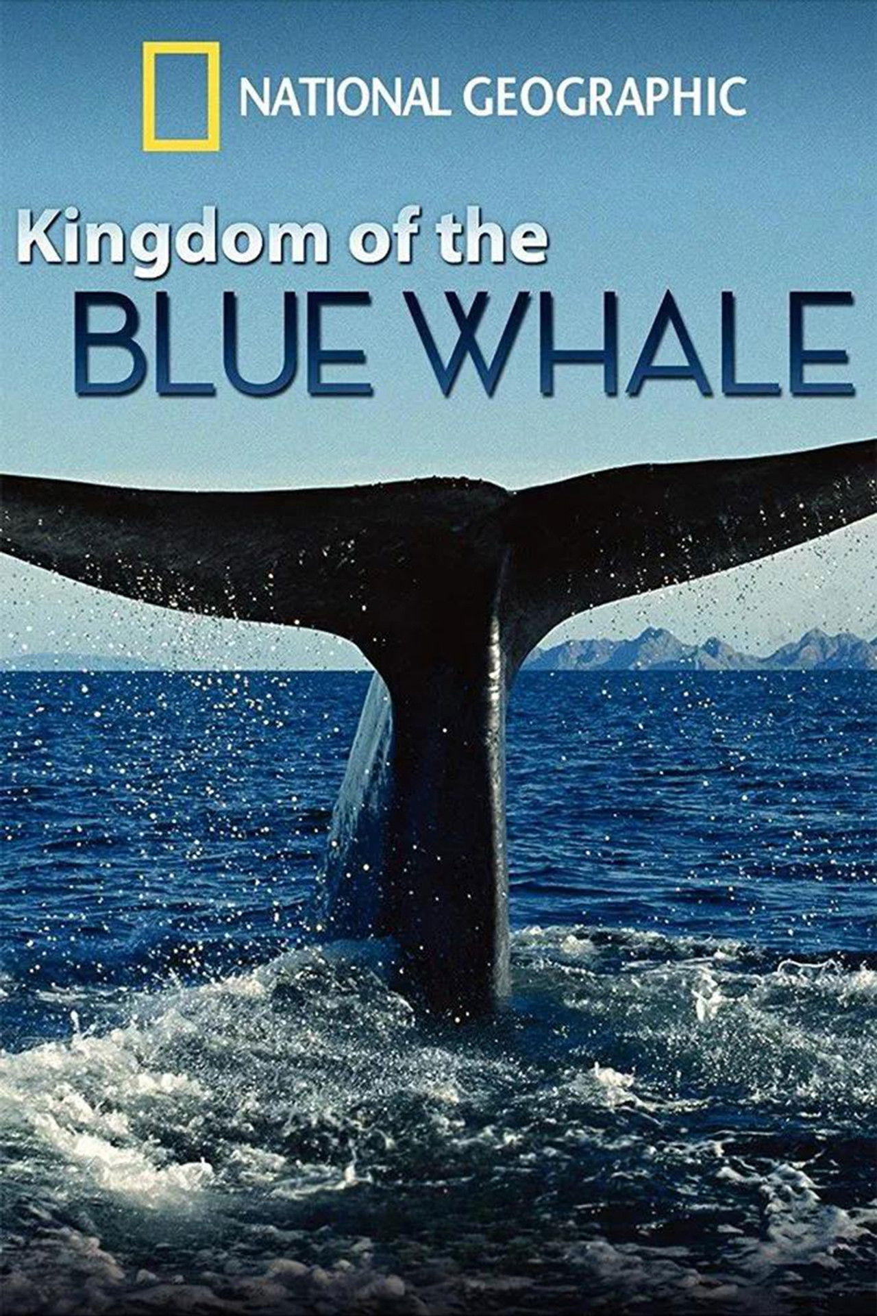 Kingdom of the Blue Whale poster