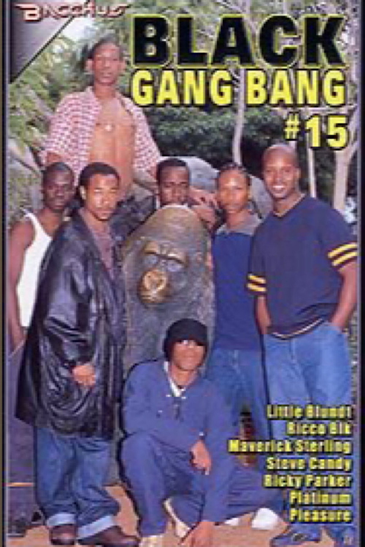 Black Gang Bang 15 filmaffisch
