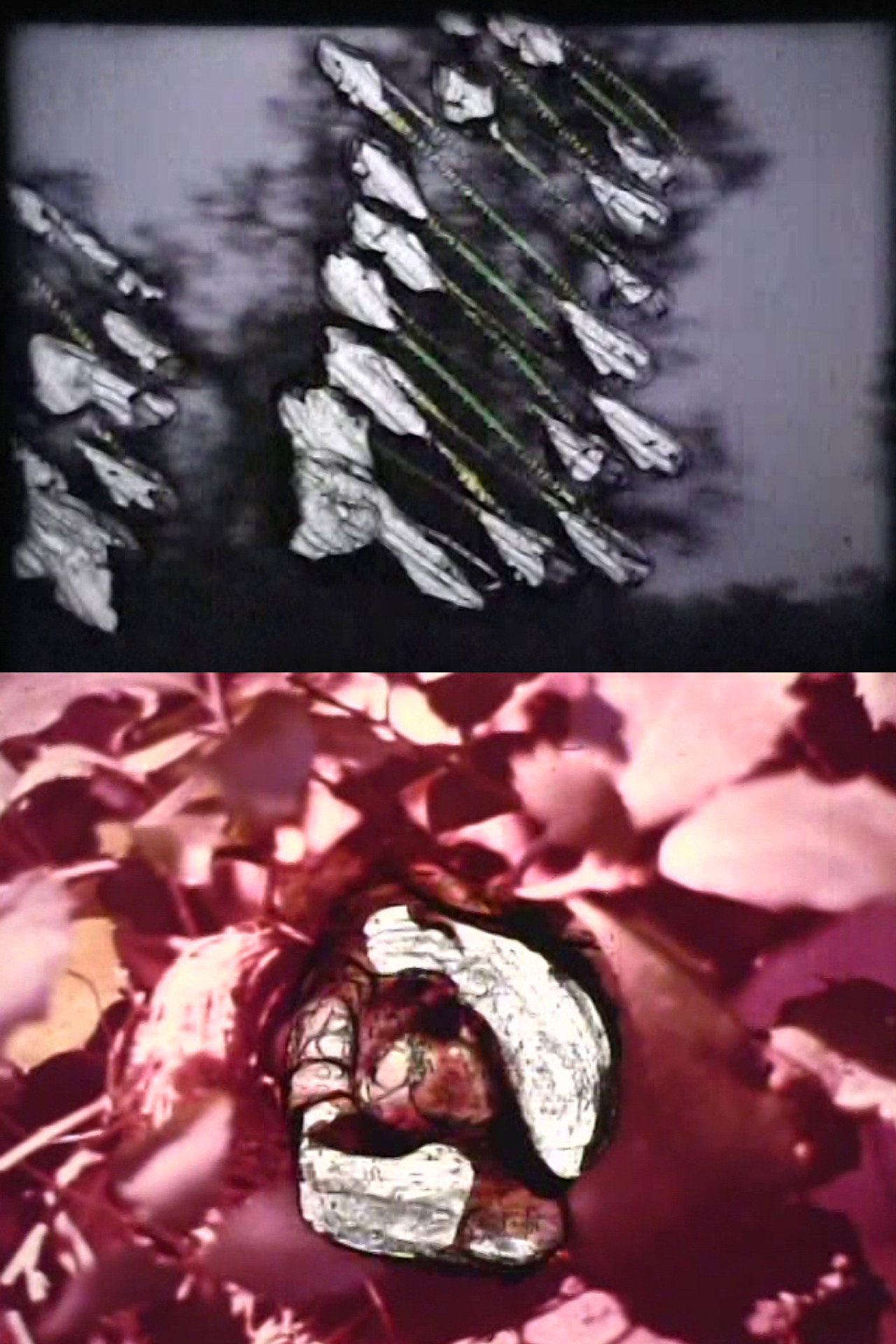 Reincarnation filmaffisch