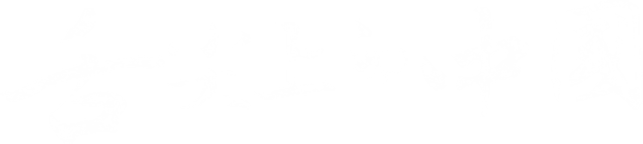 A Bite of China